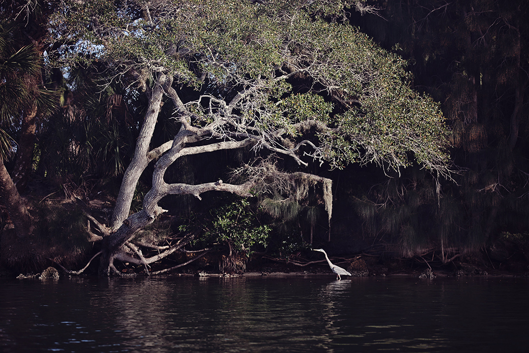2013_Florida_February-057.jpg