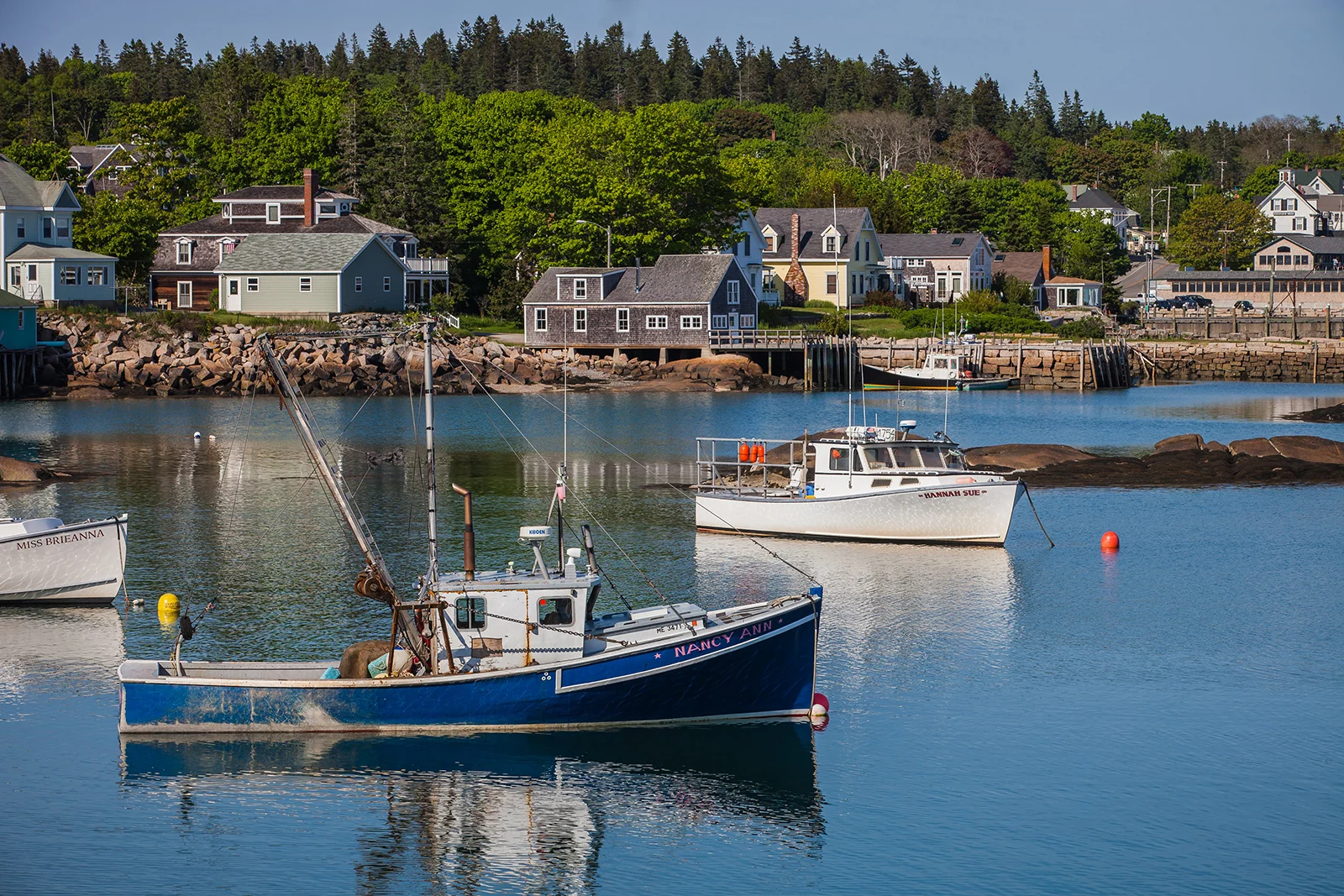 2014_Deer_Isle_Maine_June8-021.jpg