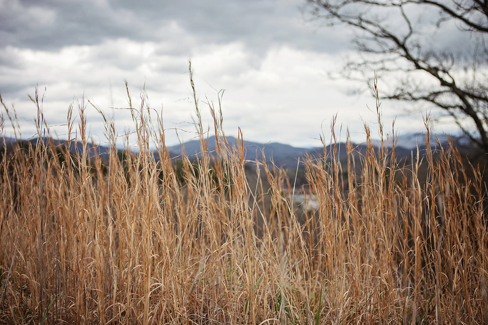 2014_WNC_April2-396.jpg