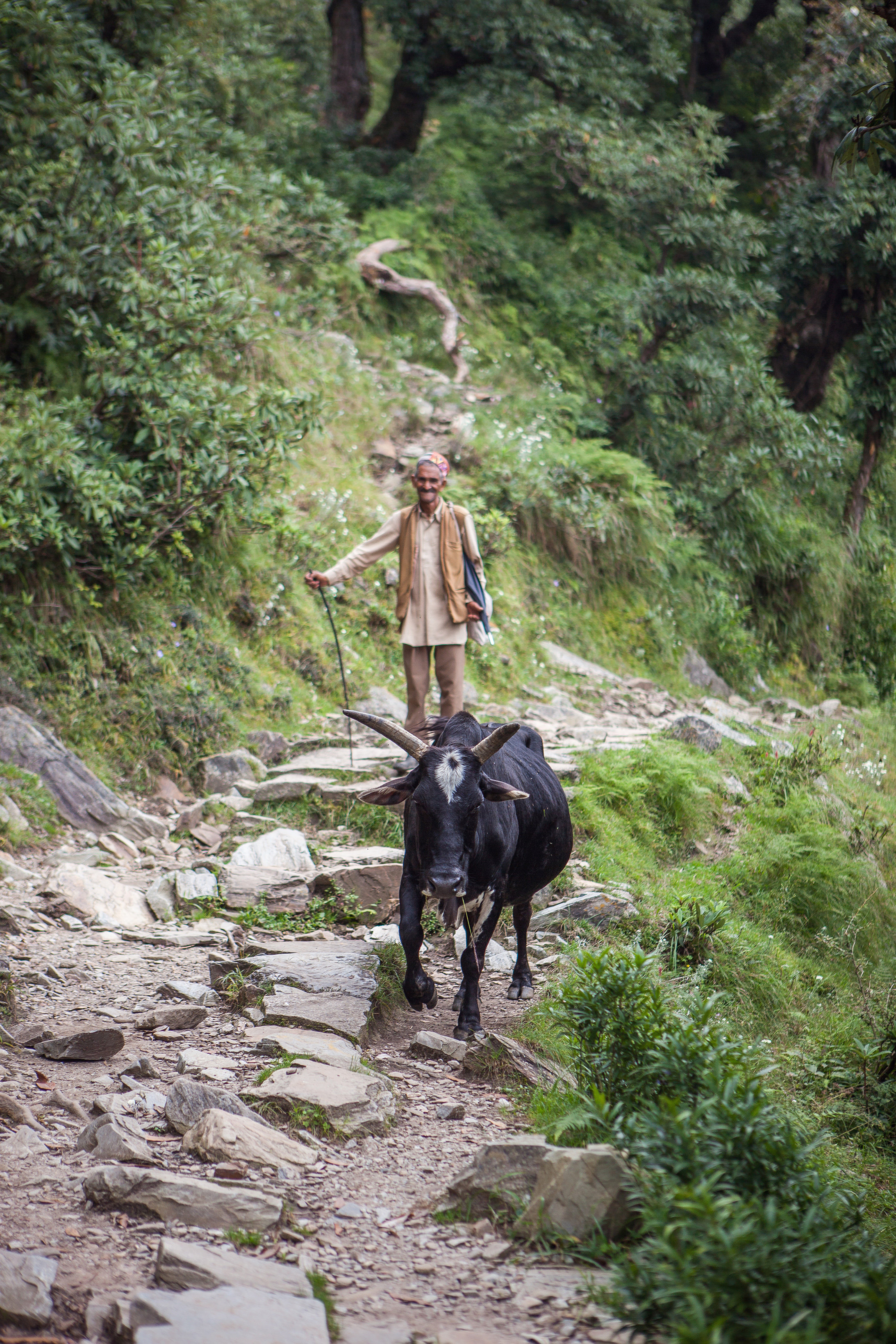 2014_India_McLeodganj_Sept19-033.jpg