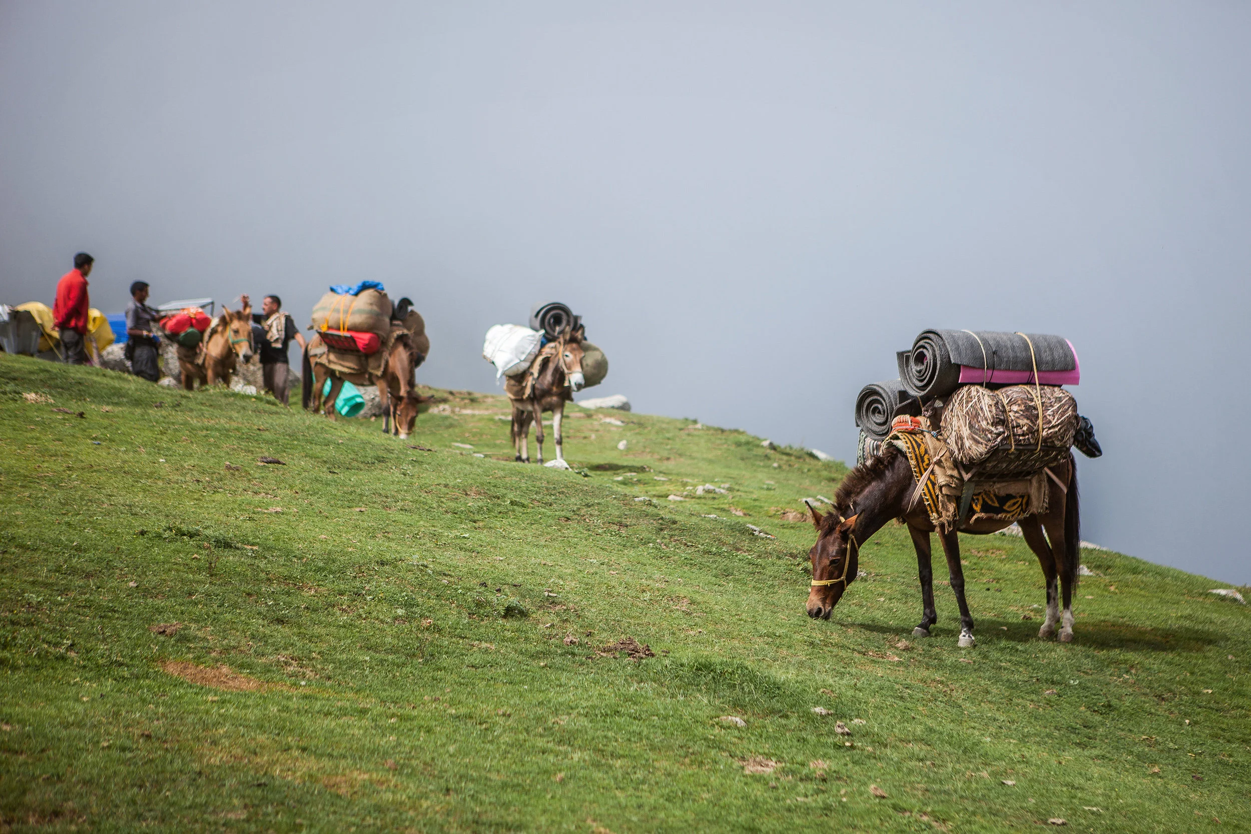 2014_India_McLeodganj_Sept19-081.jpg