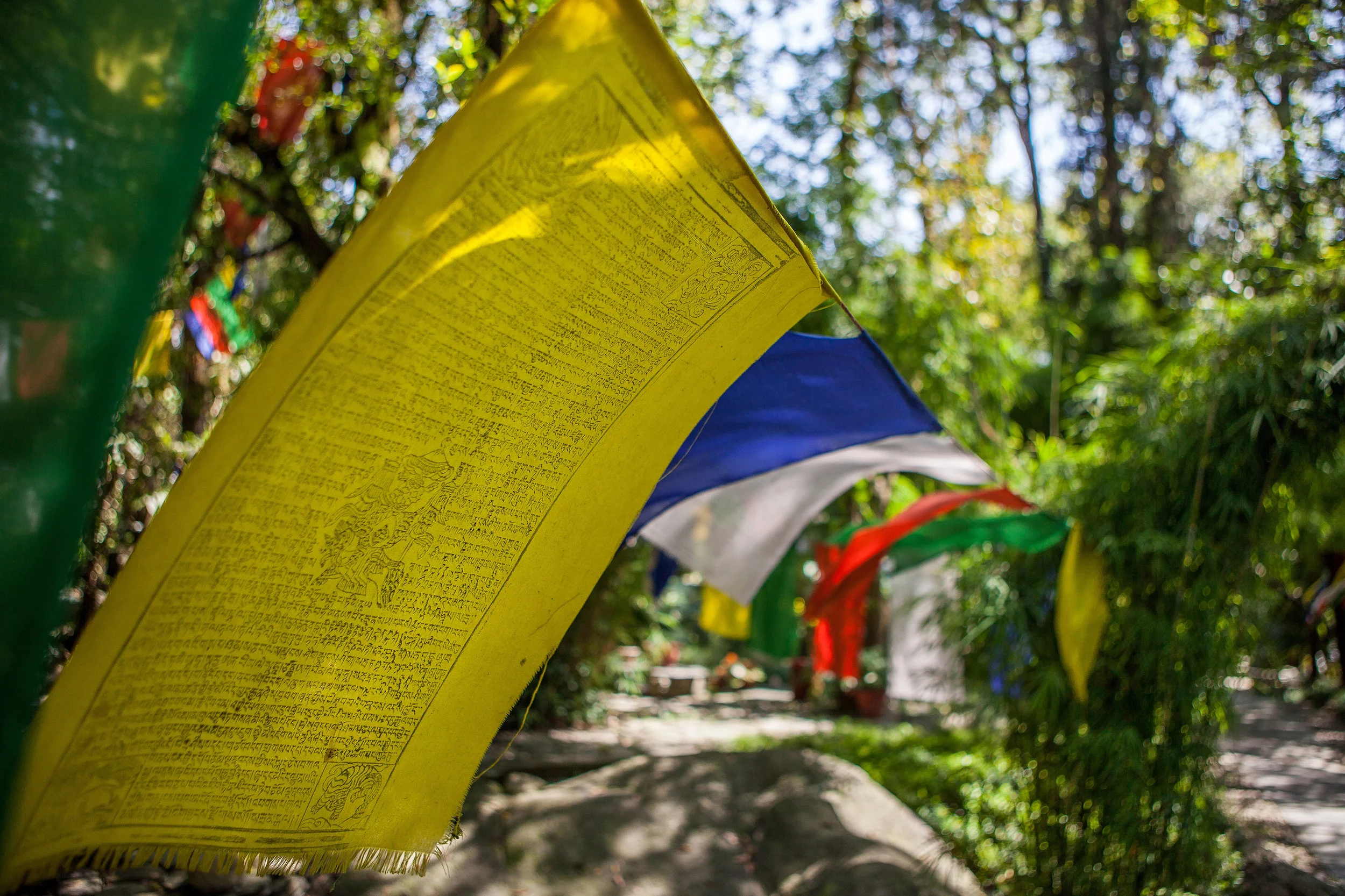 2014_India_McLeodganj_Sept21-154.jpg