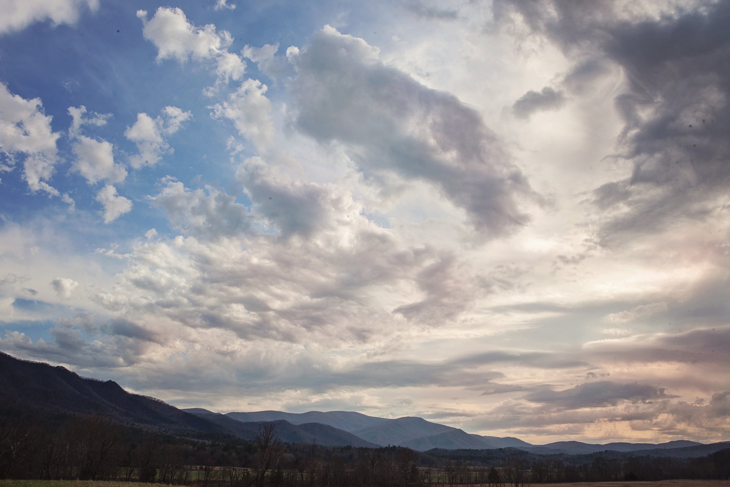2014_Review_CindyGiovagnoli--022.jpg