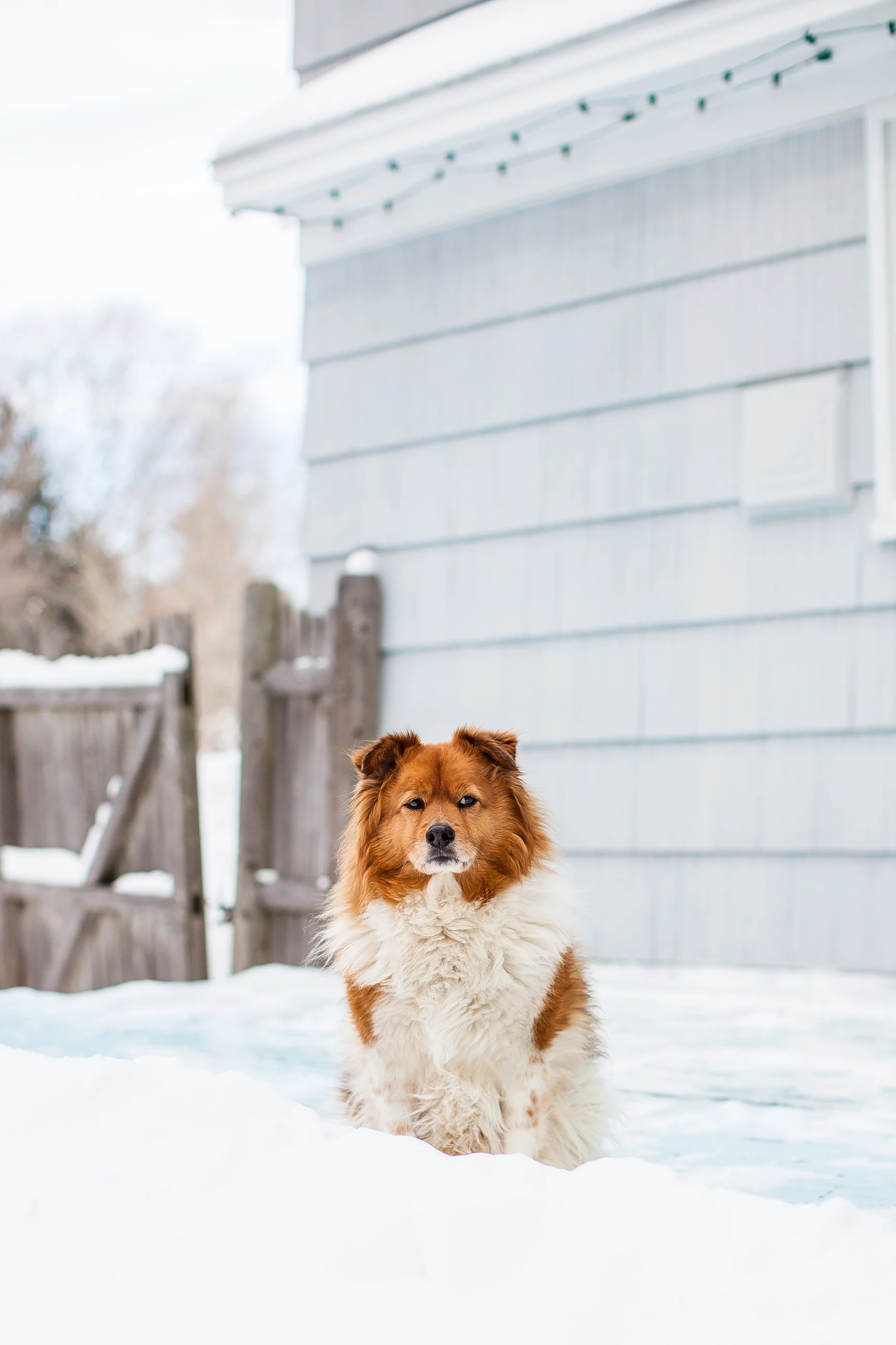 CindyGiovagnoli_Maine_Photographer_Winter_Mountains_Snow_Ski_Snowshoe-002.jpg