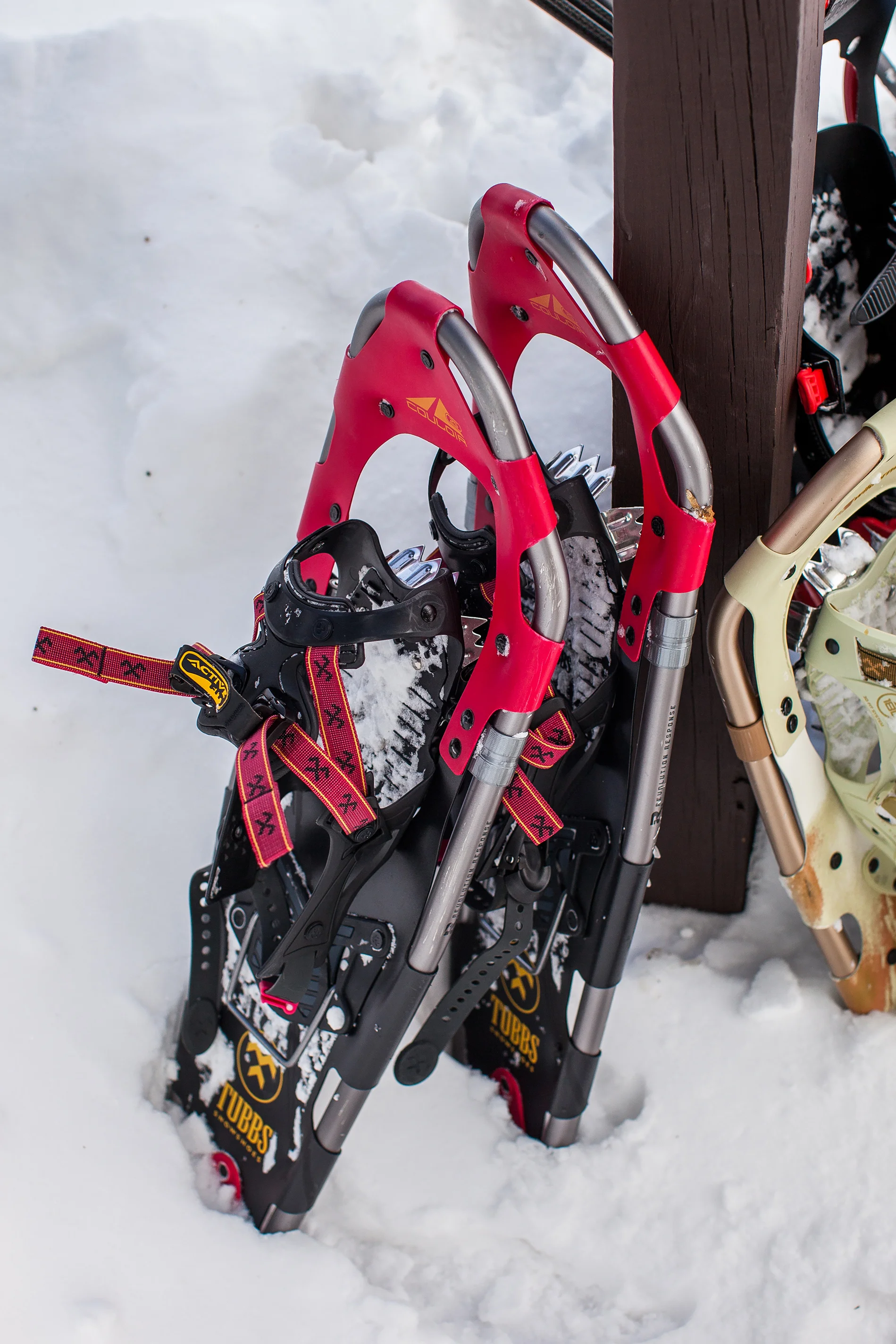 CindyGiovagnoli_Maine_Photographer_Winter_Mountains_Snow_Ski_Snowshoe-030.jpg