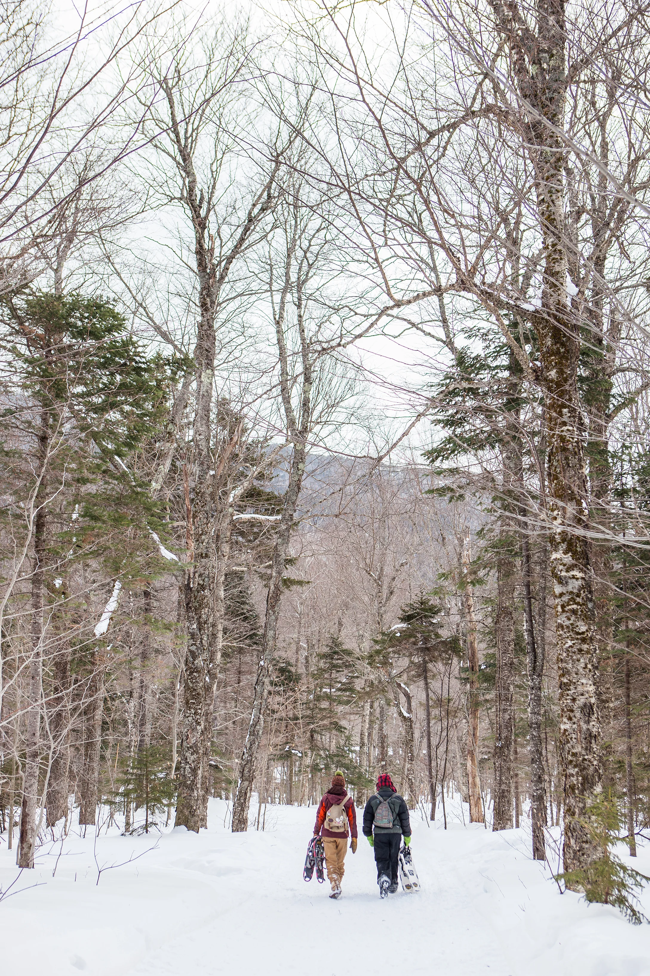 CindyGiovagnoli_Maine_Photographer_Winter_Mountains_Snow_Ski_Snowshoe-035.jpg
