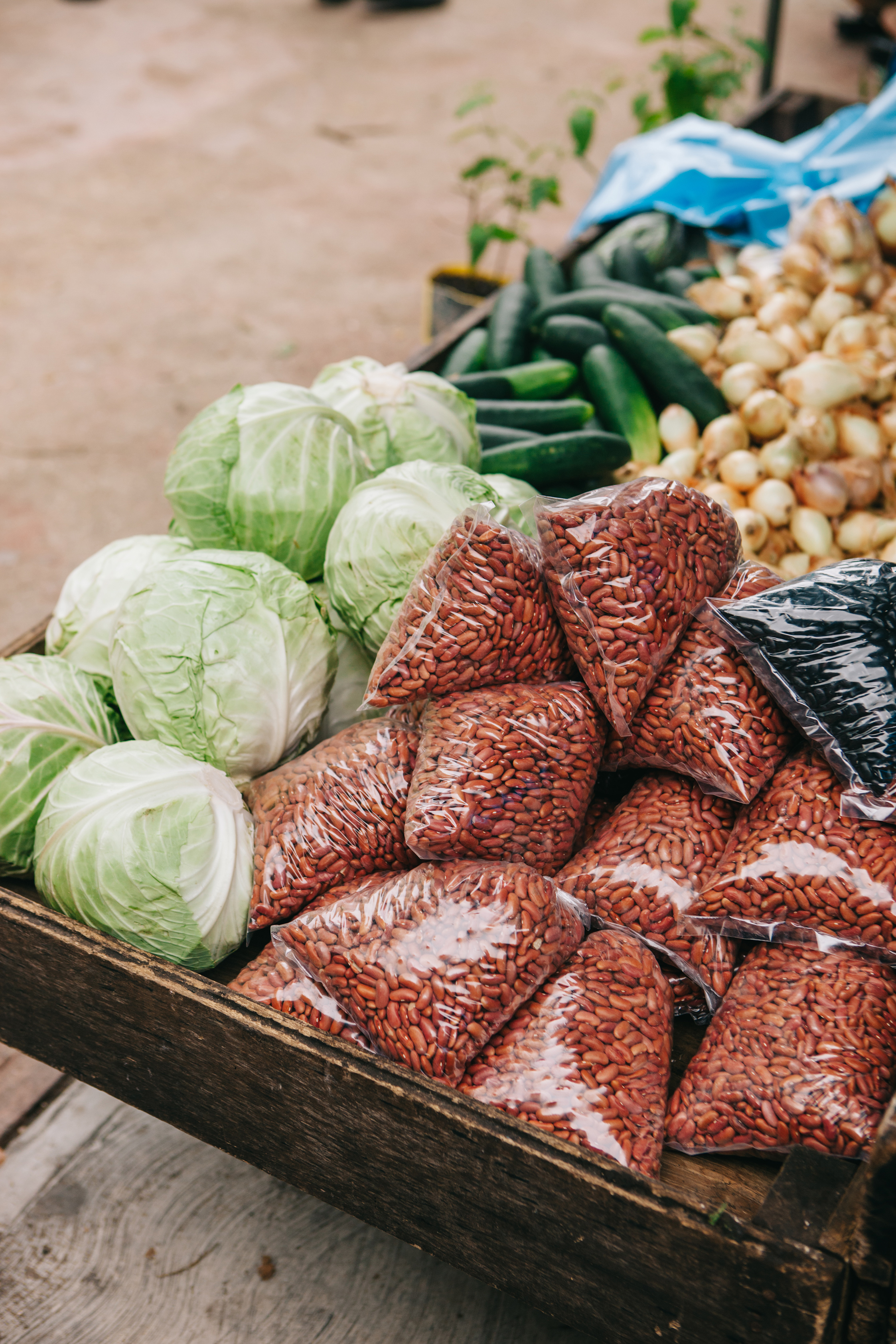 Belize_SanIgnacio_Market_travel_local_food-016.jpg