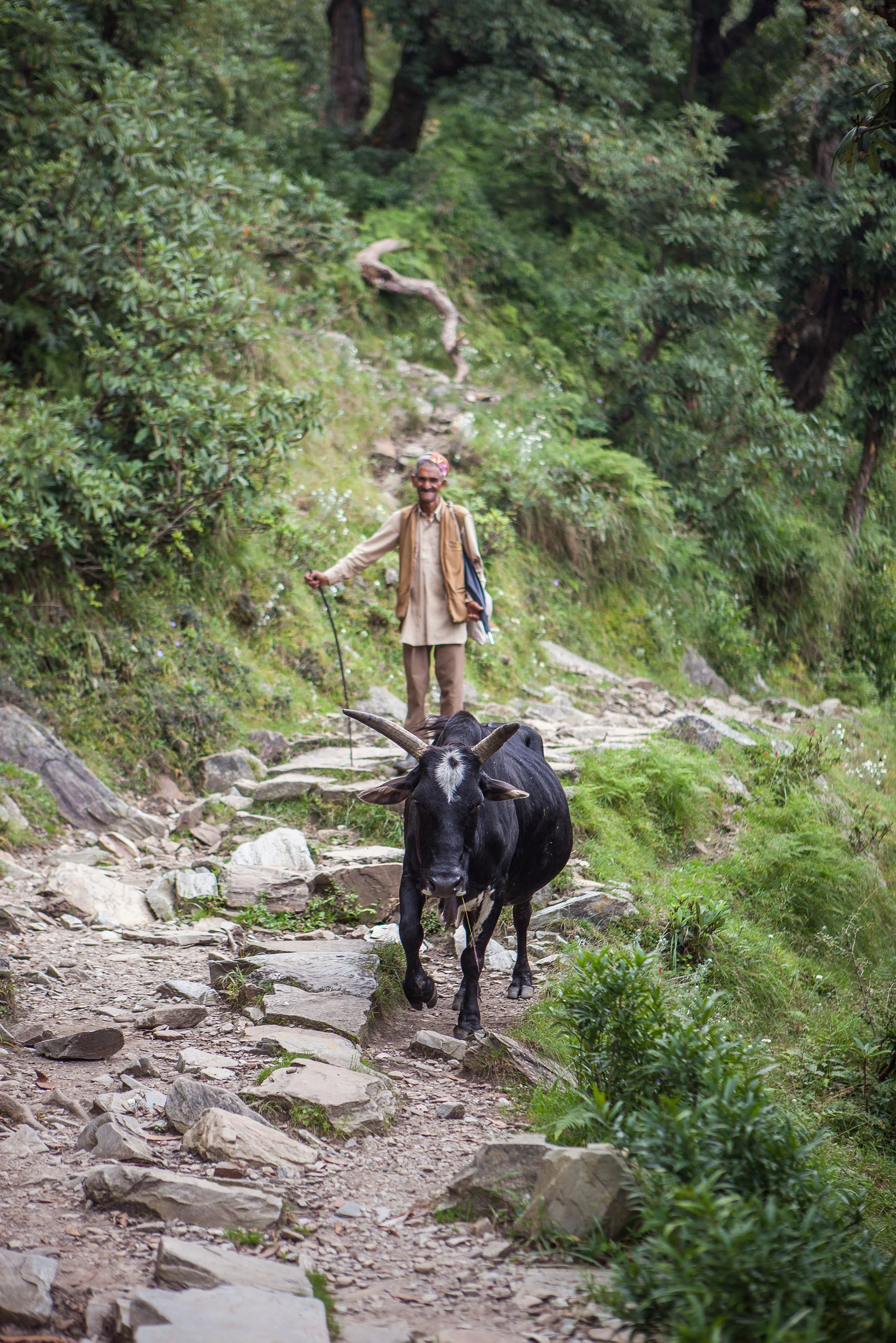 CindyGiovagnoli_India_McCleodganj_HimachelPradesh_Triund-002.jpg