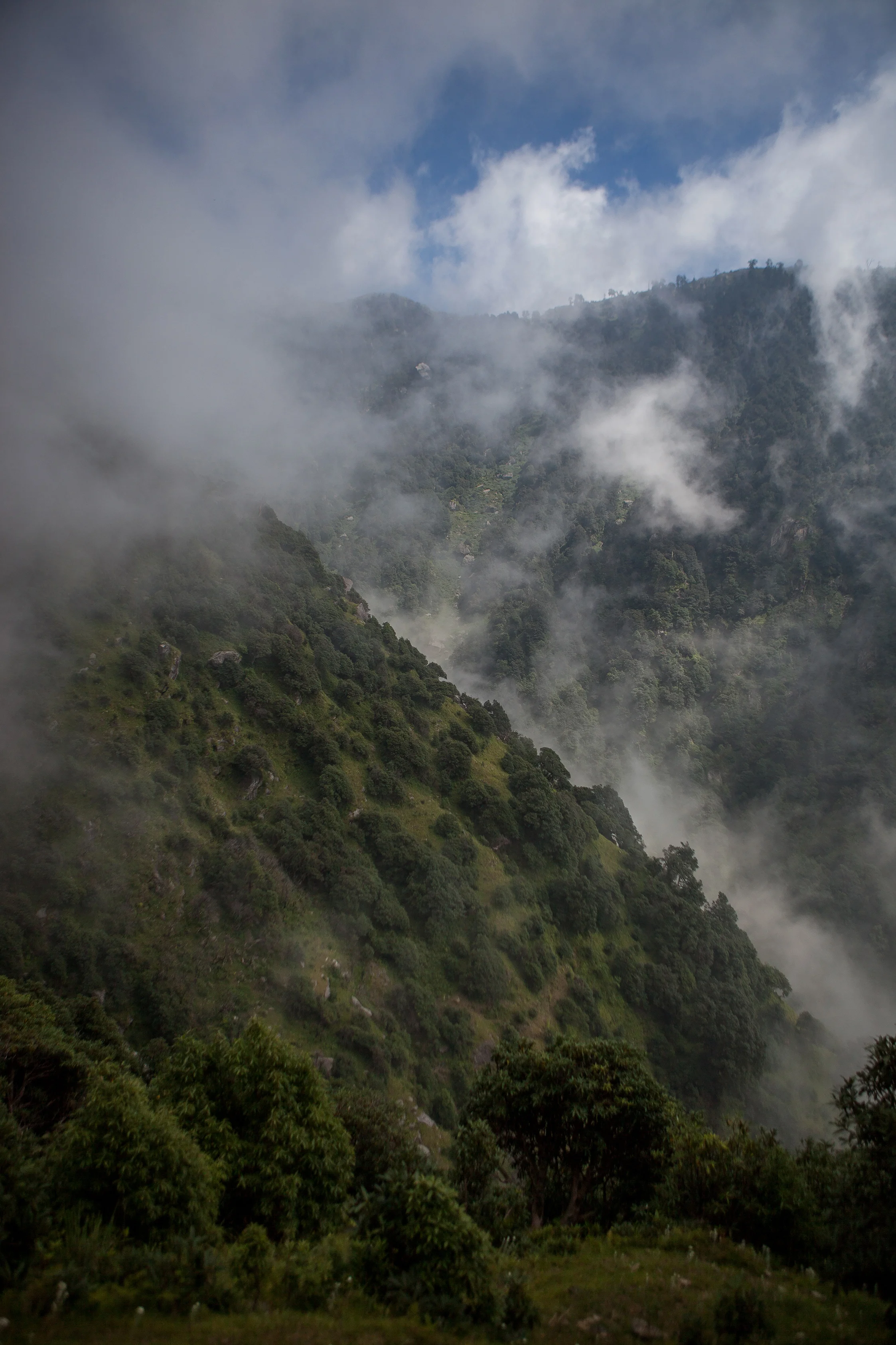 CindyGiovagnoli_India_McCleodganj_HimachelPradesh_Triund-010.jpg