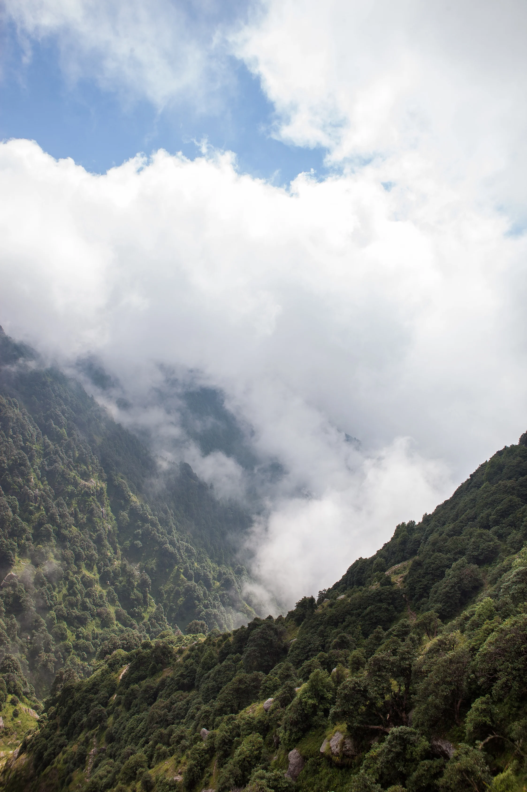 CindyGiovagnoli_India_McCleodganj_HimachelPradesh_Triund-016.jpg