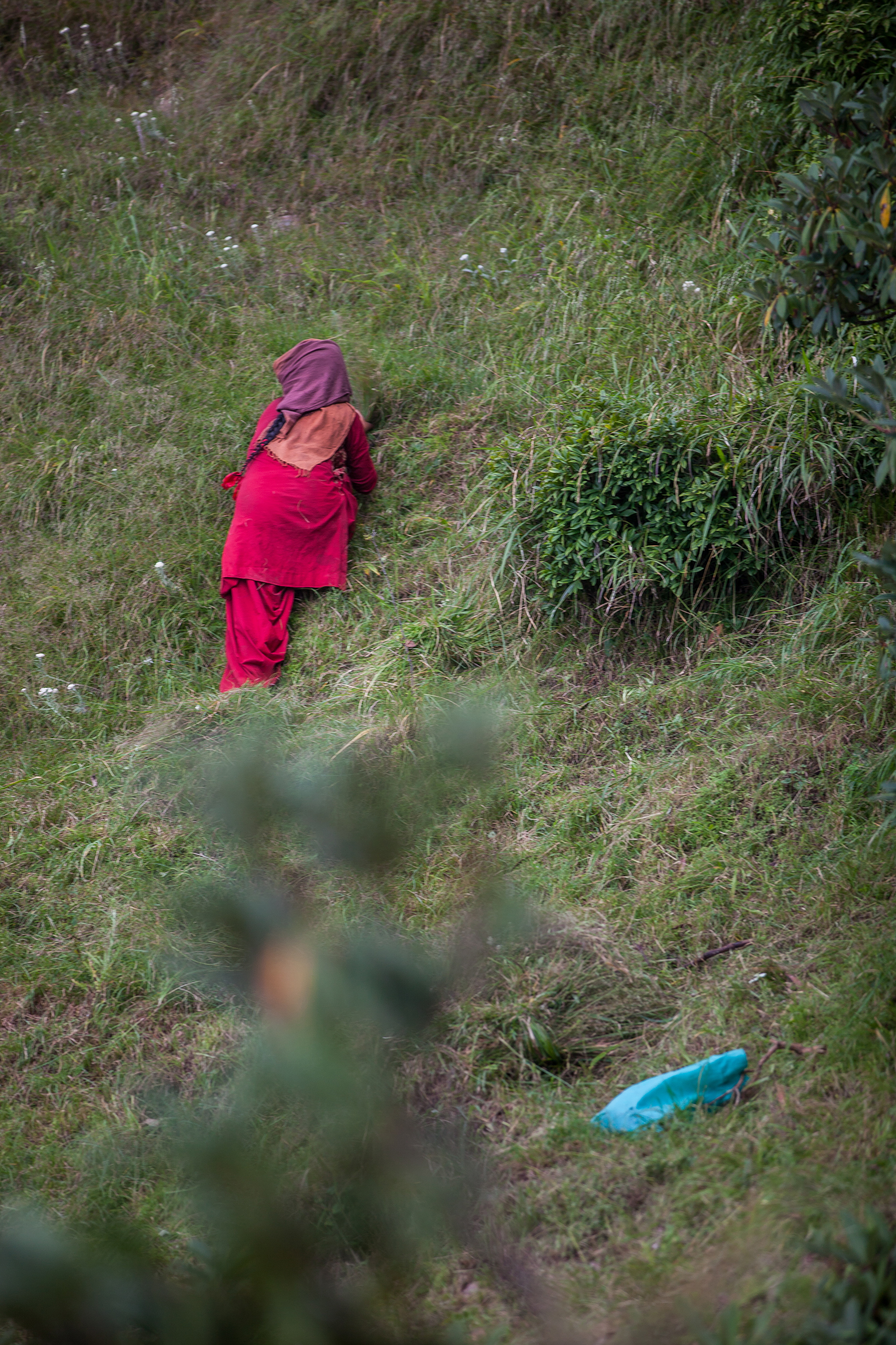 CindyGiovagnoli_India_McCleodganj_HimachelPradesh_Triund-034.jpg