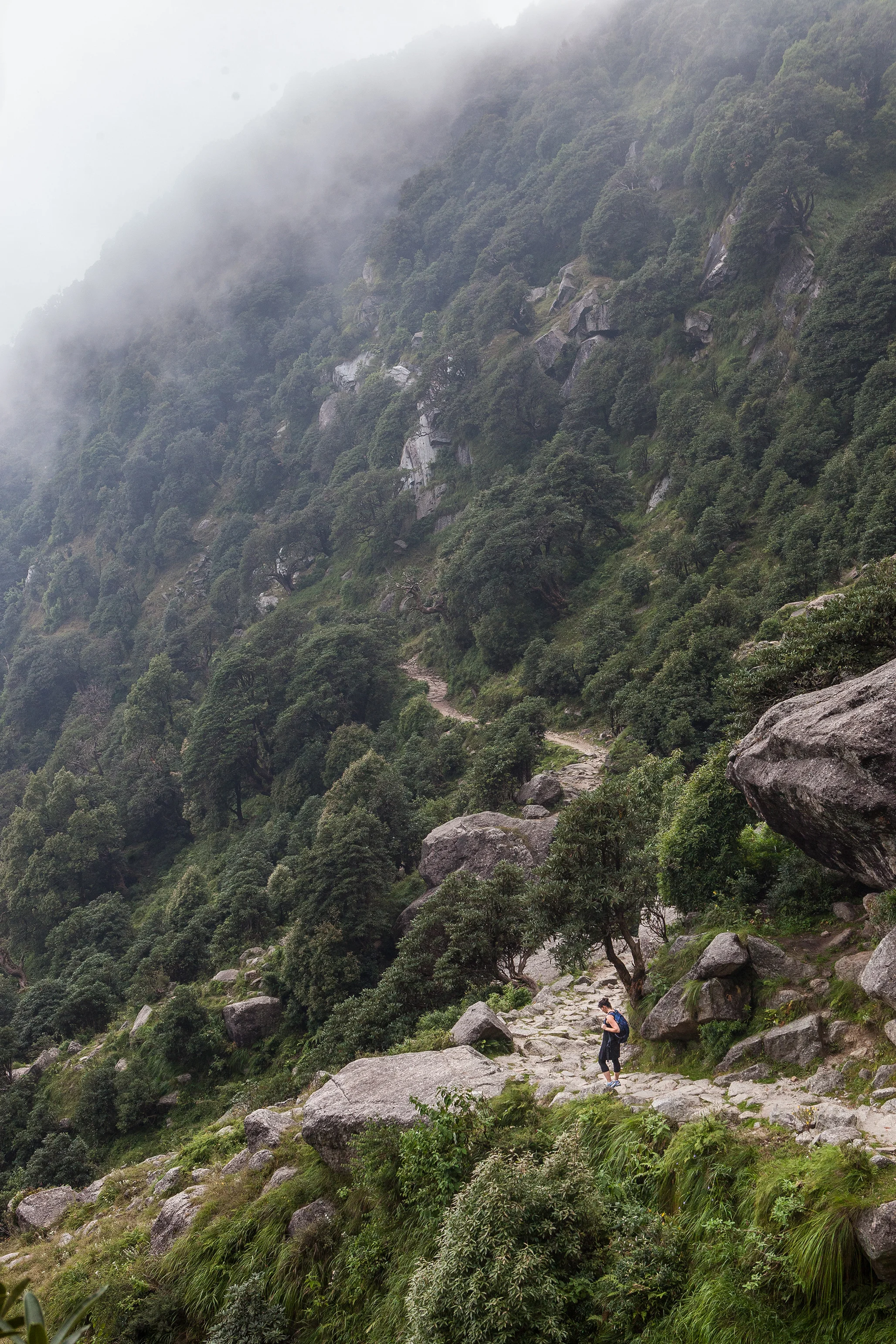 CindyGiovagnoli_India_McCleodganj_HimachelPradesh_Triund-036.jpg