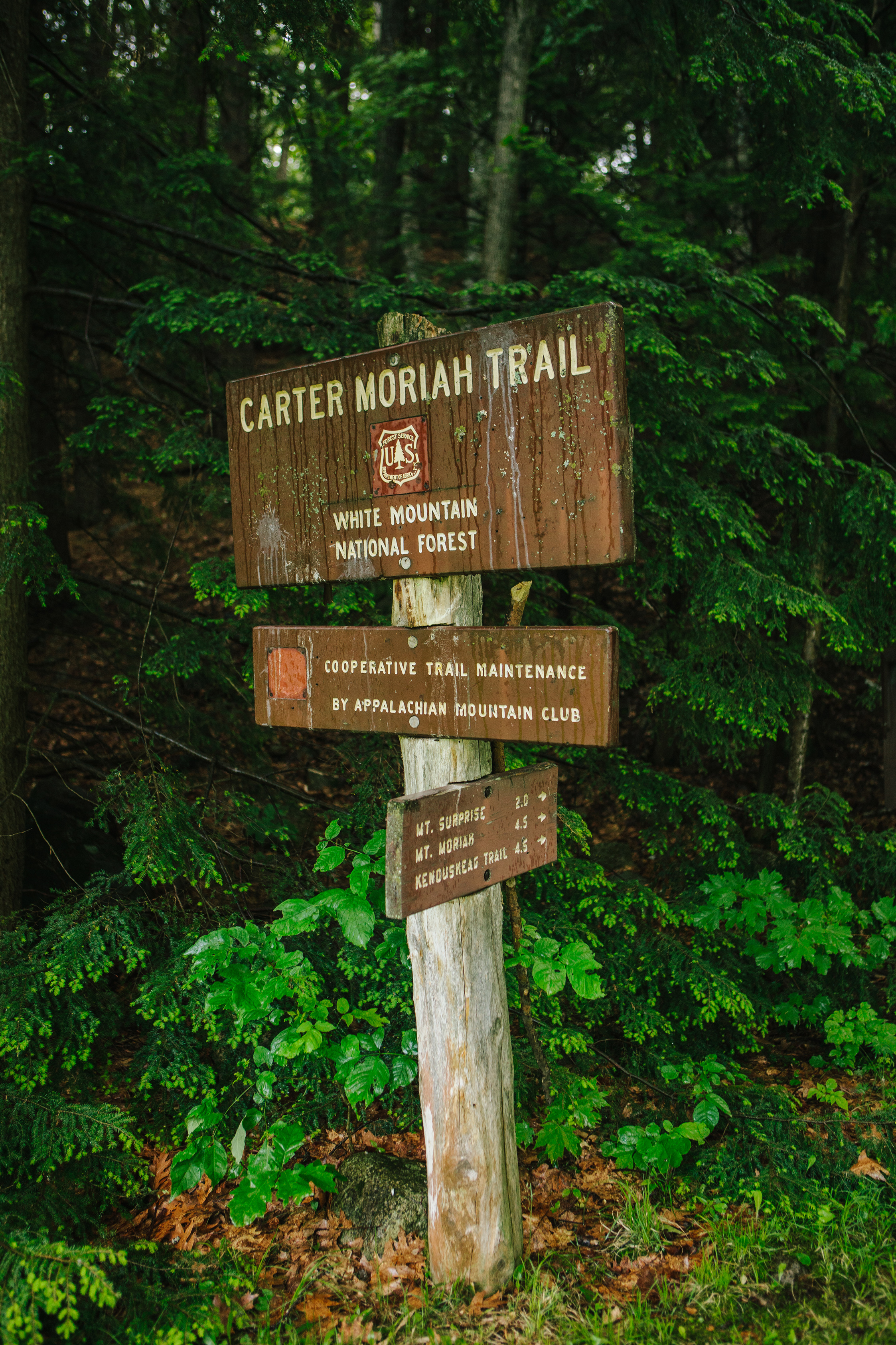 CindyGiovagnoli_MtMoriah_4000footer_NewHampshire_WhiteMountains-005.jpg