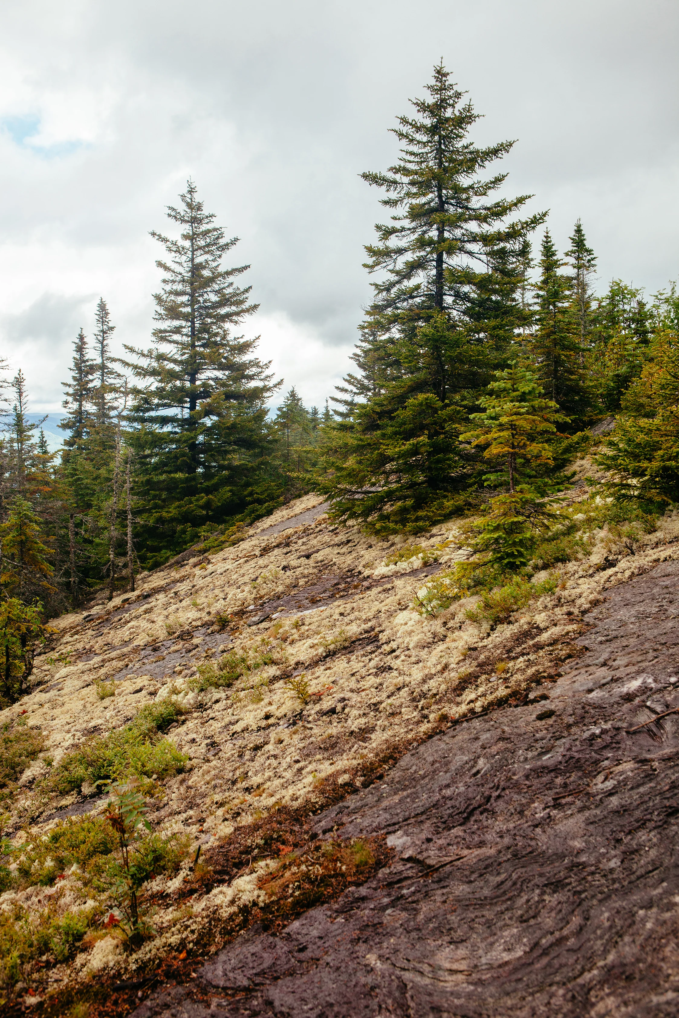 CindyGiovagnoli_MtMoriah_4000footer_NewHampshire_WhiteMountains-015.jpg