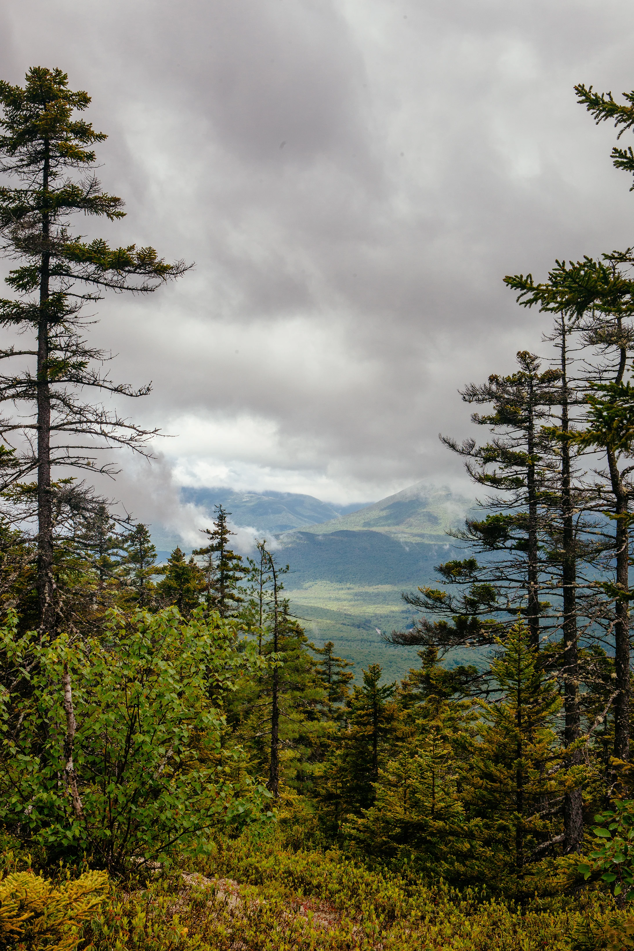 CindyGiovagnoli_MtMoriah_4000footer_NewHampshire_WhiteMountains-017.jpg