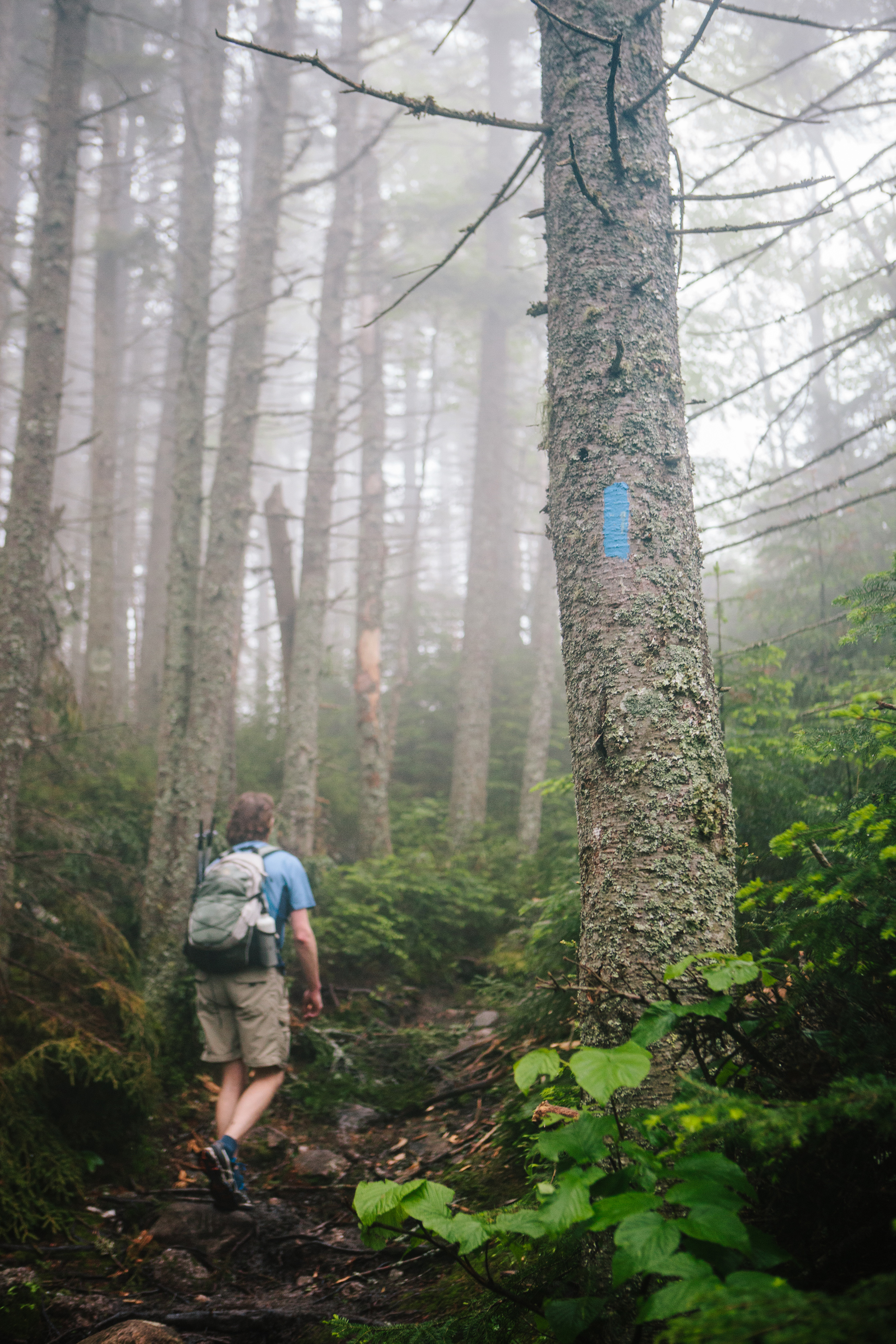 CindyGiovagnoli_MtMoriah_4000footer_NewHampshire_WhiteMountains-029.jpg