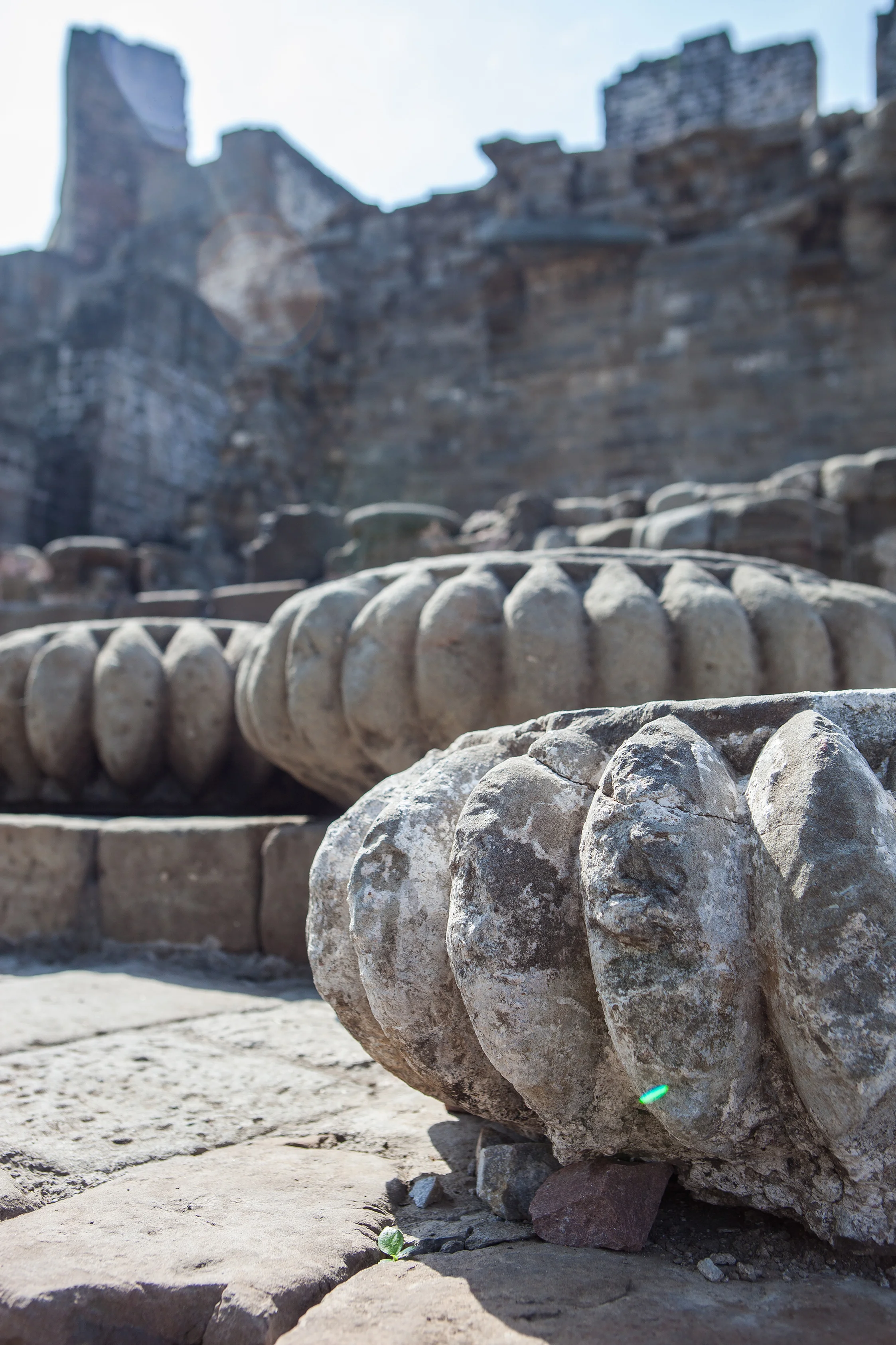 KangraFort_India_Himalaya_byCindyGiovagnoli-008.jpg