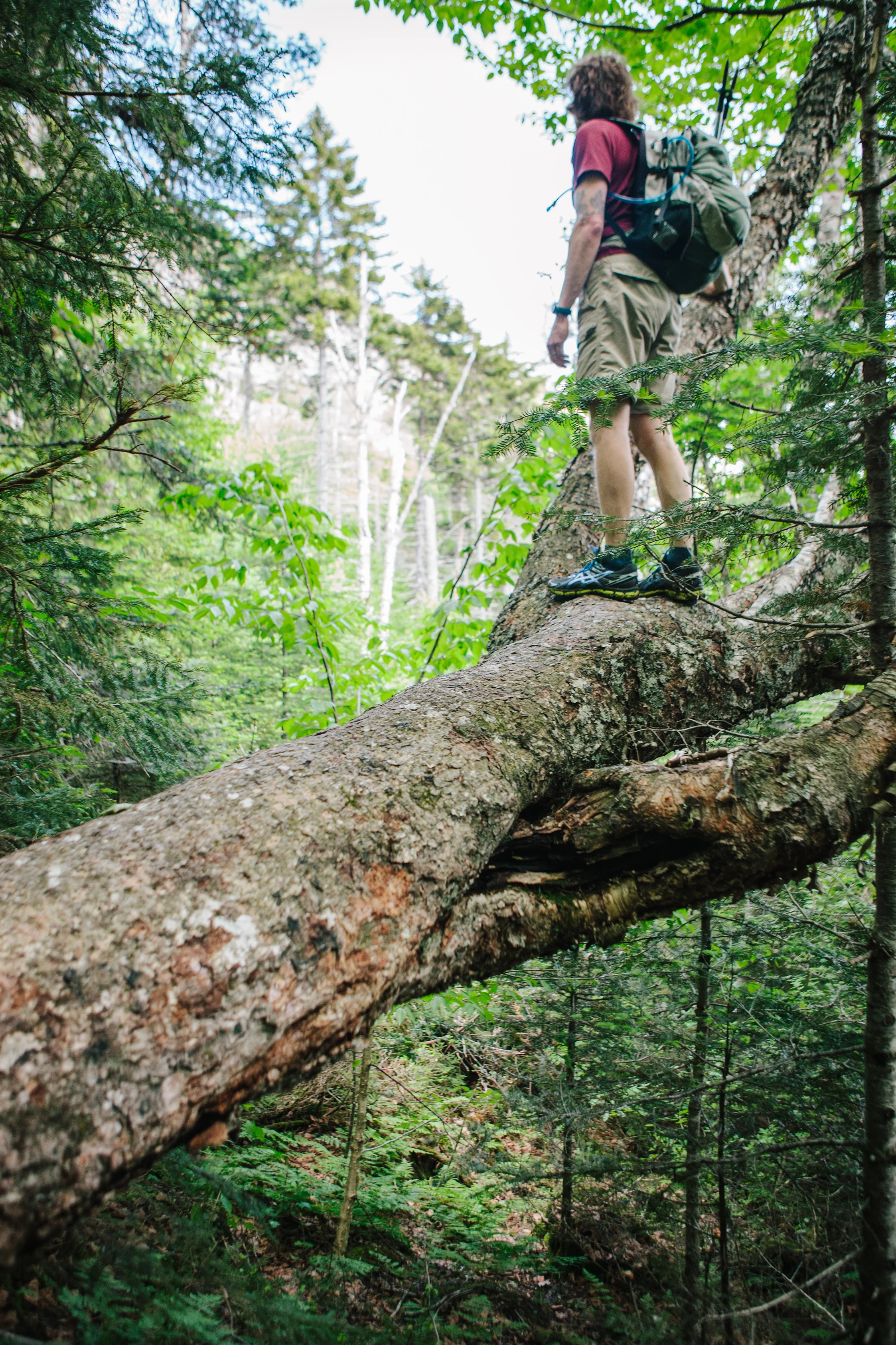 CindyGiovagnoli_WhiteMountains_MtOsceola_NewHampshire_4000footer-005.jpg