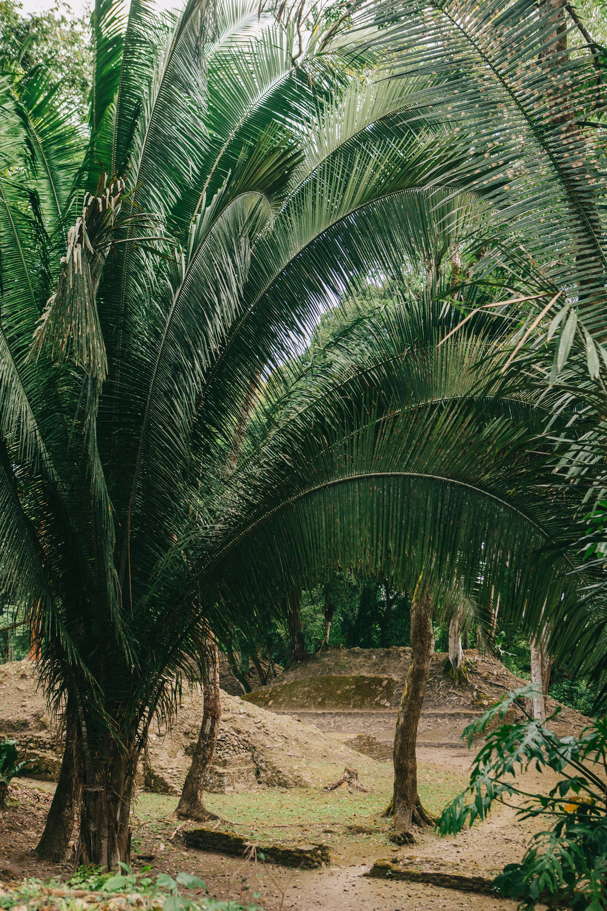 CindyGiovagnoli_Belize_SanIgnacio_ChaaCreek-006.jpg