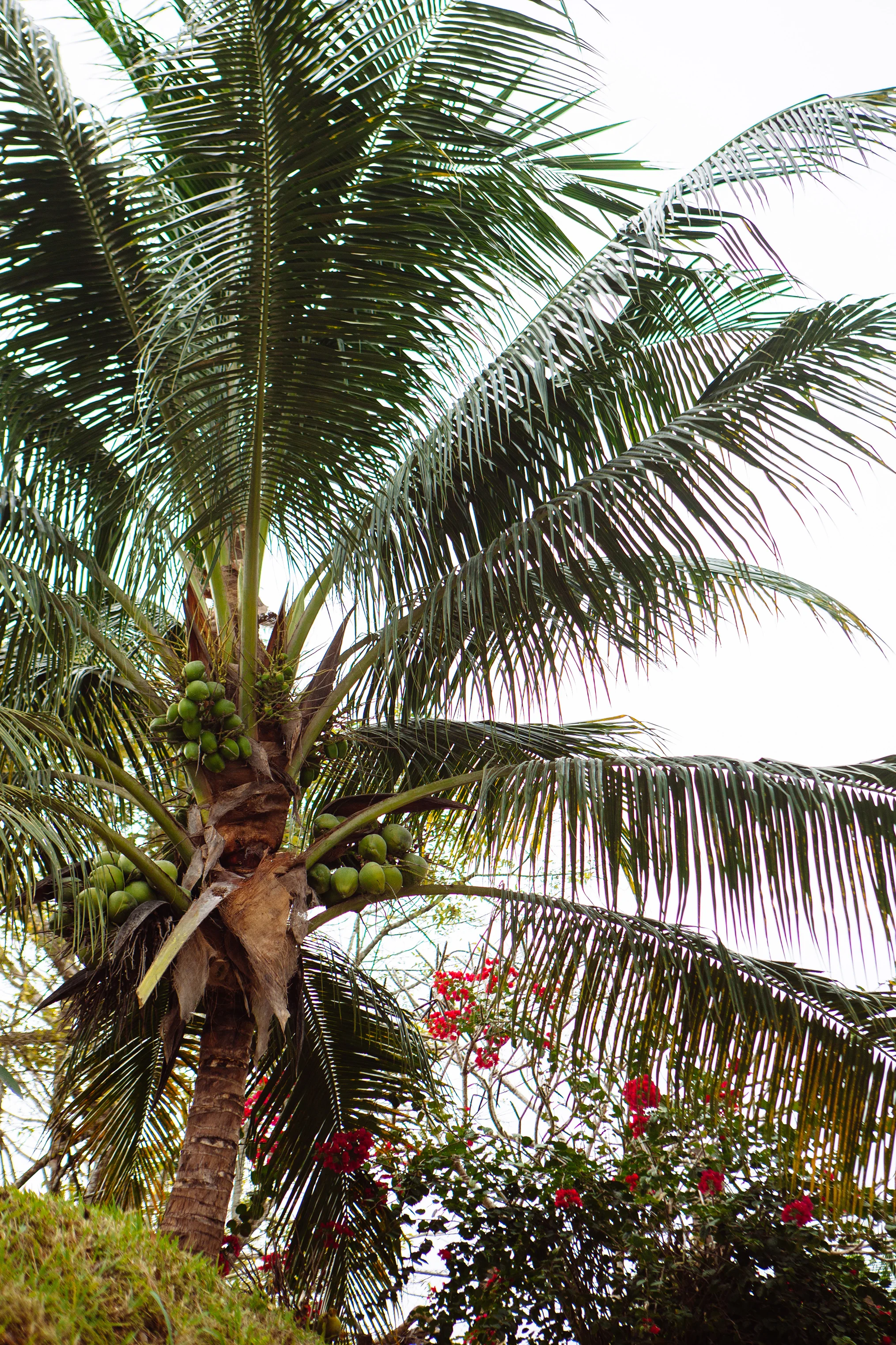 CindyGiovagnoli_Belize_SanIgnacio_ChaaCreek-010.jpg