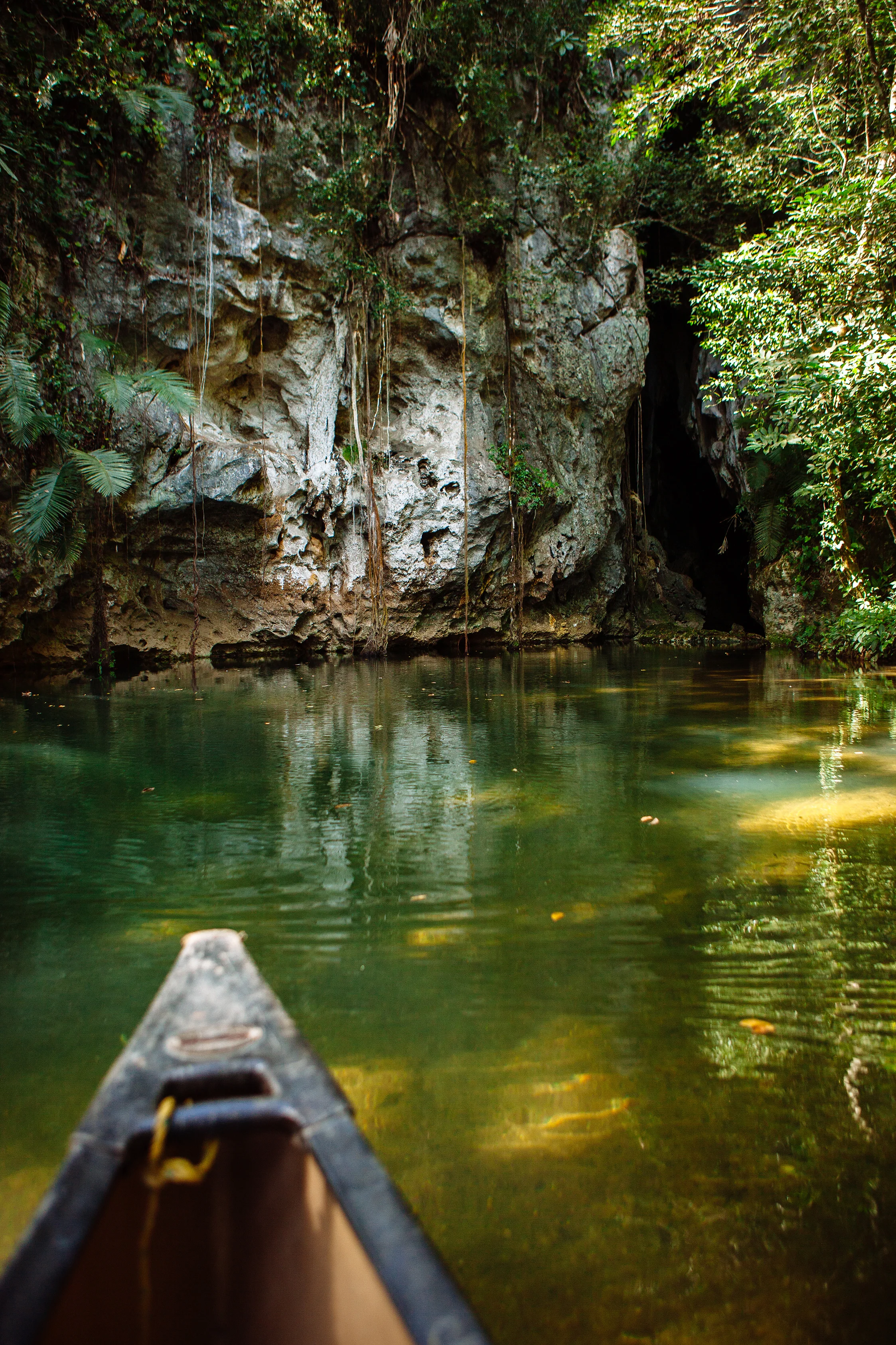 CindyGiovagnoli_Belize_SanIgnacio_ChaaCreek_MacalRiverCamp_BartonCreekCave-017.jpg