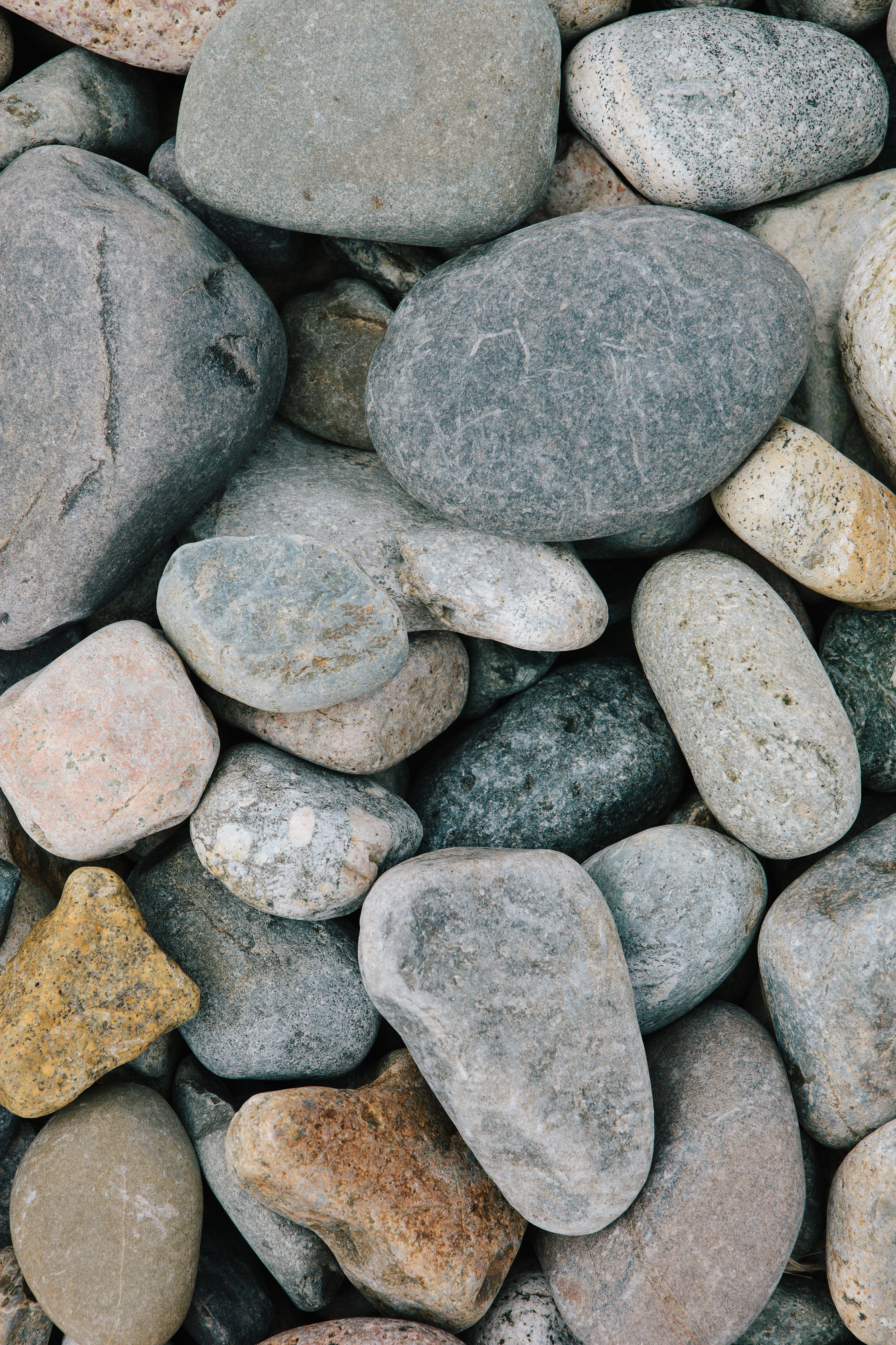 CindyGiovagnoli_AcadiaNationalPark_Maine_MountDesertIsland-012.jpg