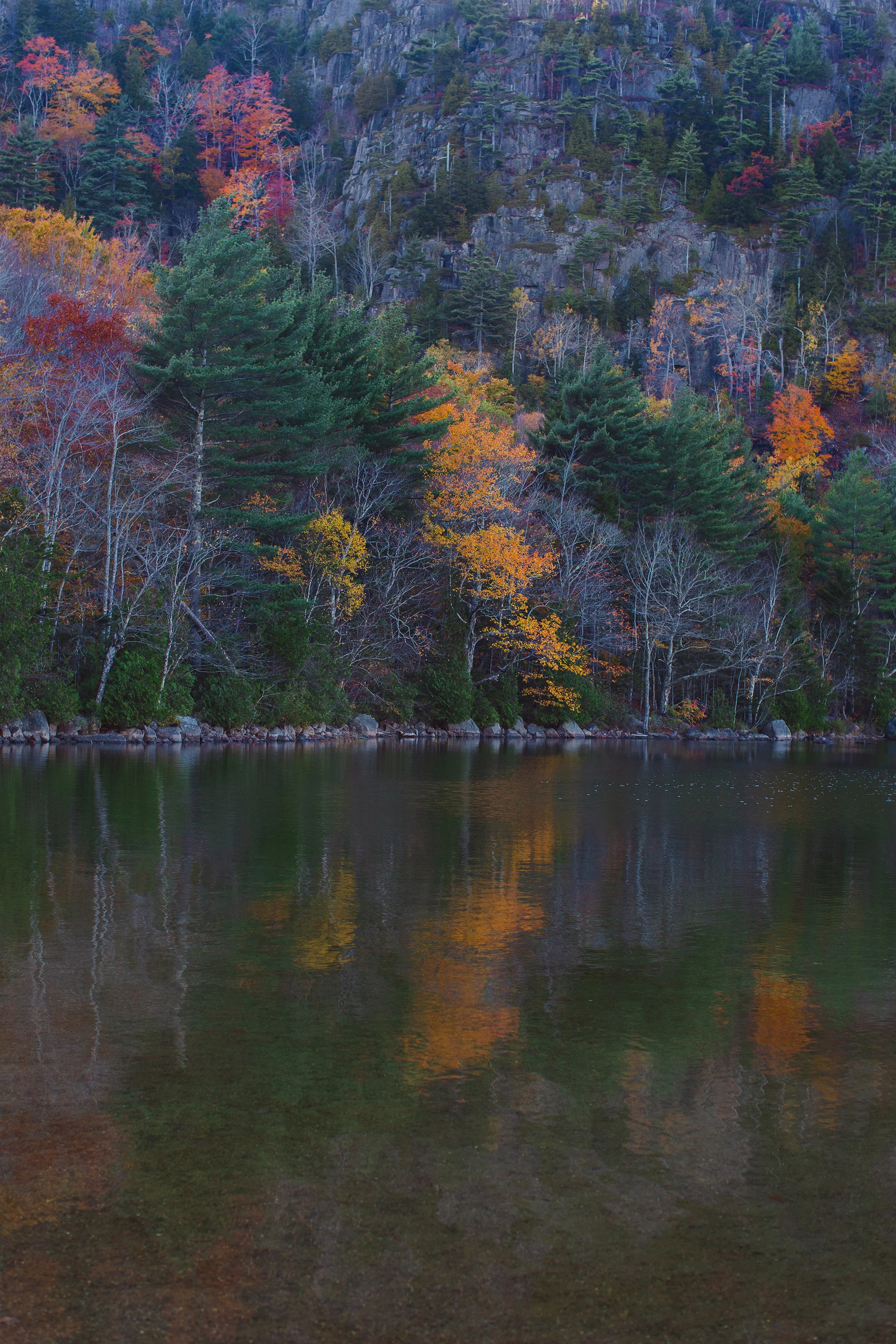 CindyGiovagnoli_Autumn_fall_Maine-003.jpg