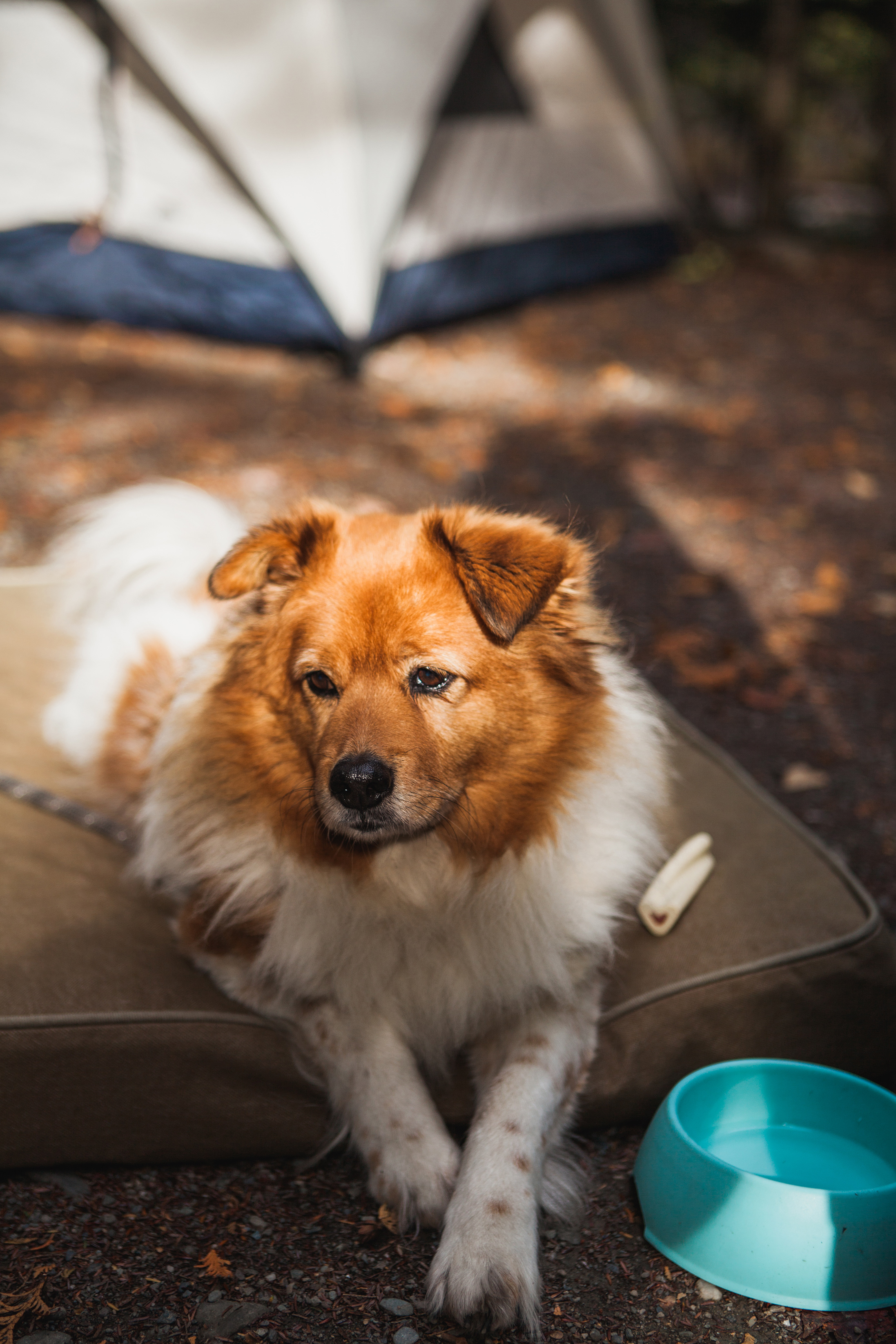 CindyGiovagnoli_MooseheadLake_KennebecRiver_flyfishing-017.jpg