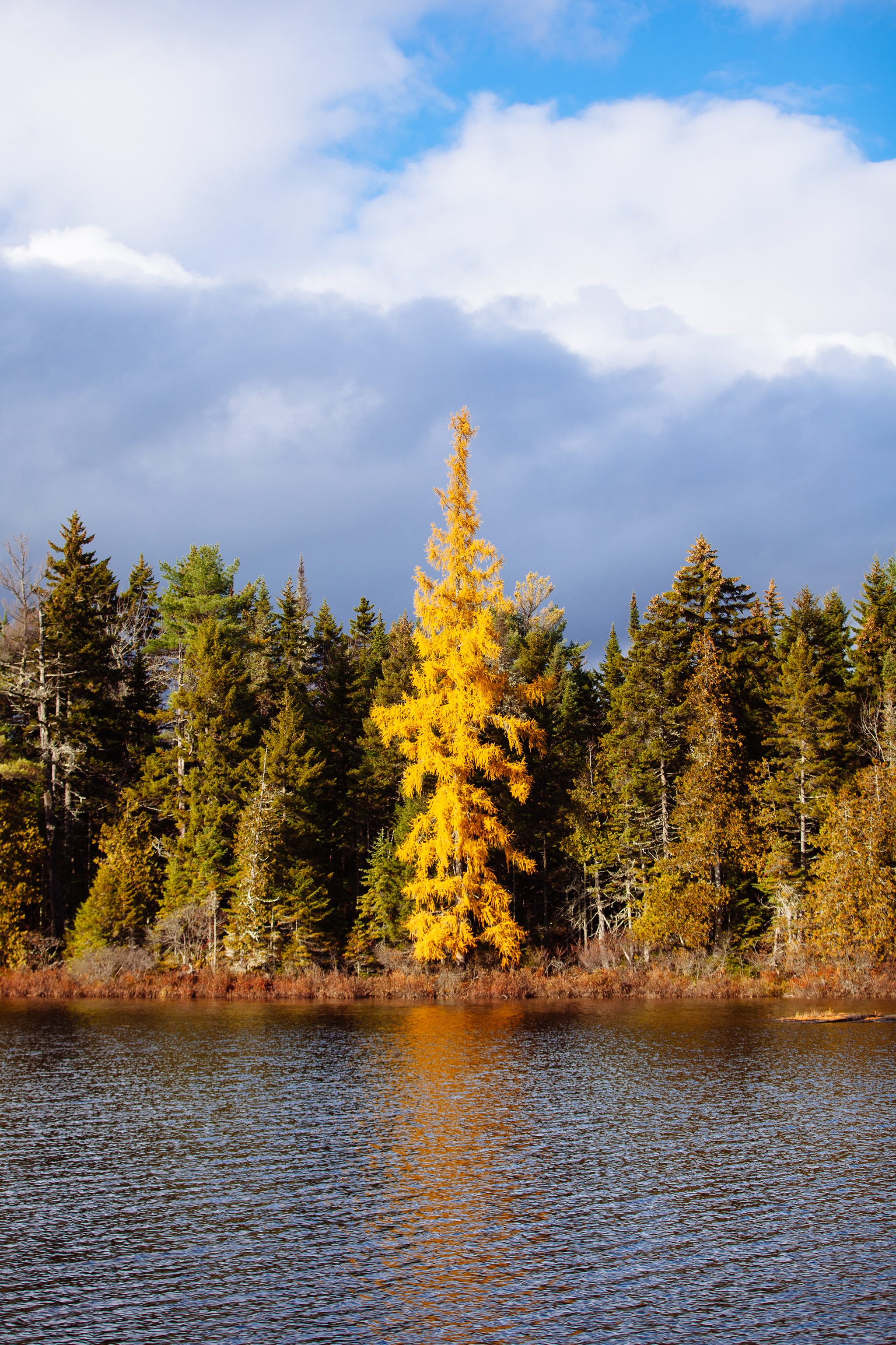 CindyGiovagnoli_MooseheadLake_KennebecRiver_flyfishing-029.jpg