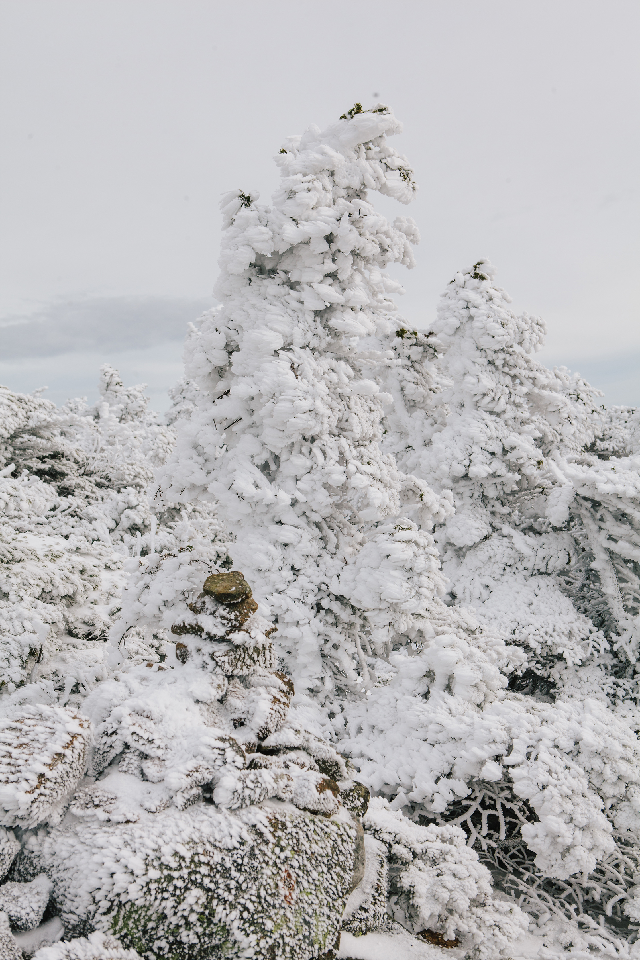 Maine_NewEngland_photographer_WhiteMountains_Moosilauke_snow_mountains_hike-026.jpg
