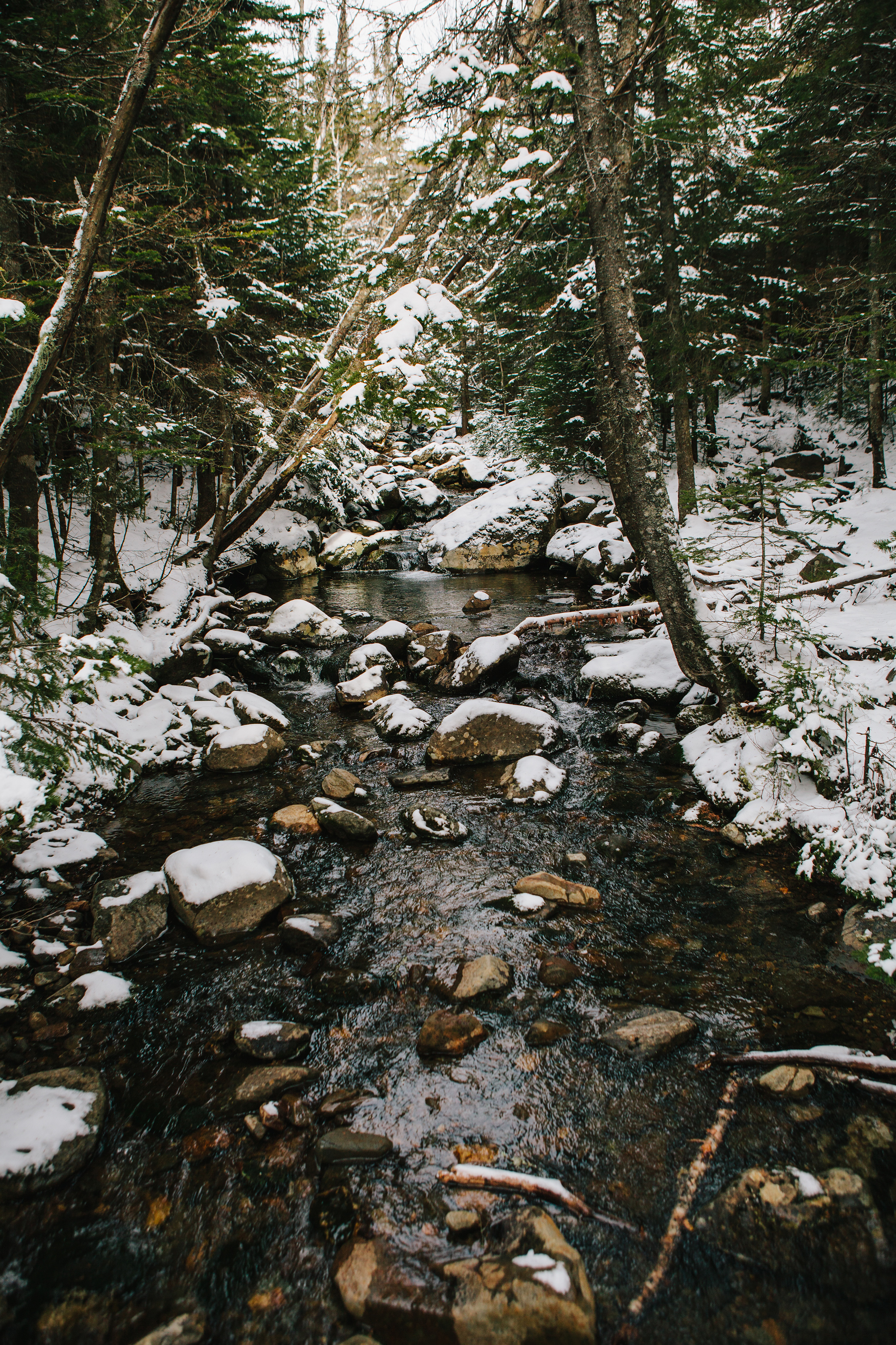 Maine_NewEngland_photographer_WhiteMountains_Moosilauke_snow_mountains_hike-032.jpg