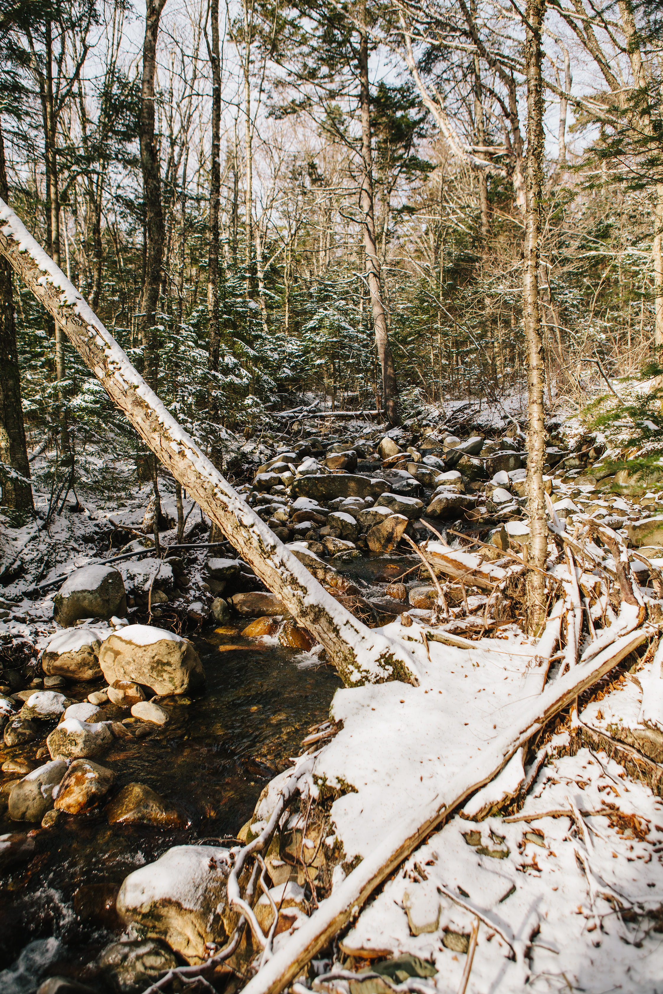 Maine_NewEngland_photographer_WhiteMountains_Moosilauke_snow_mountains_hike-033.jpg