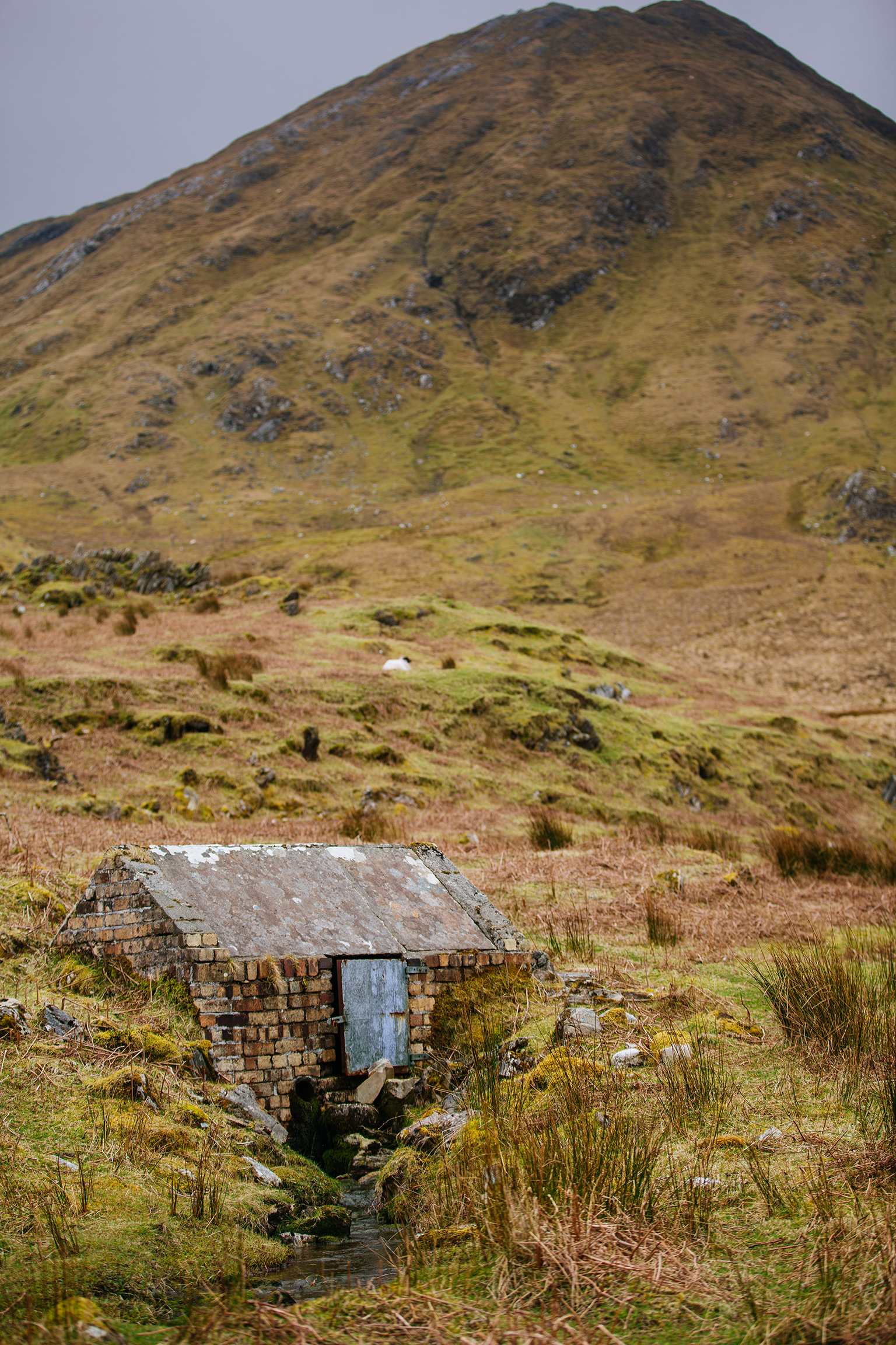 CindyGiovagnoli_Connemara_CountyMayo_Clifden_ConnemaraNationalPark_Ireland-013.jpg