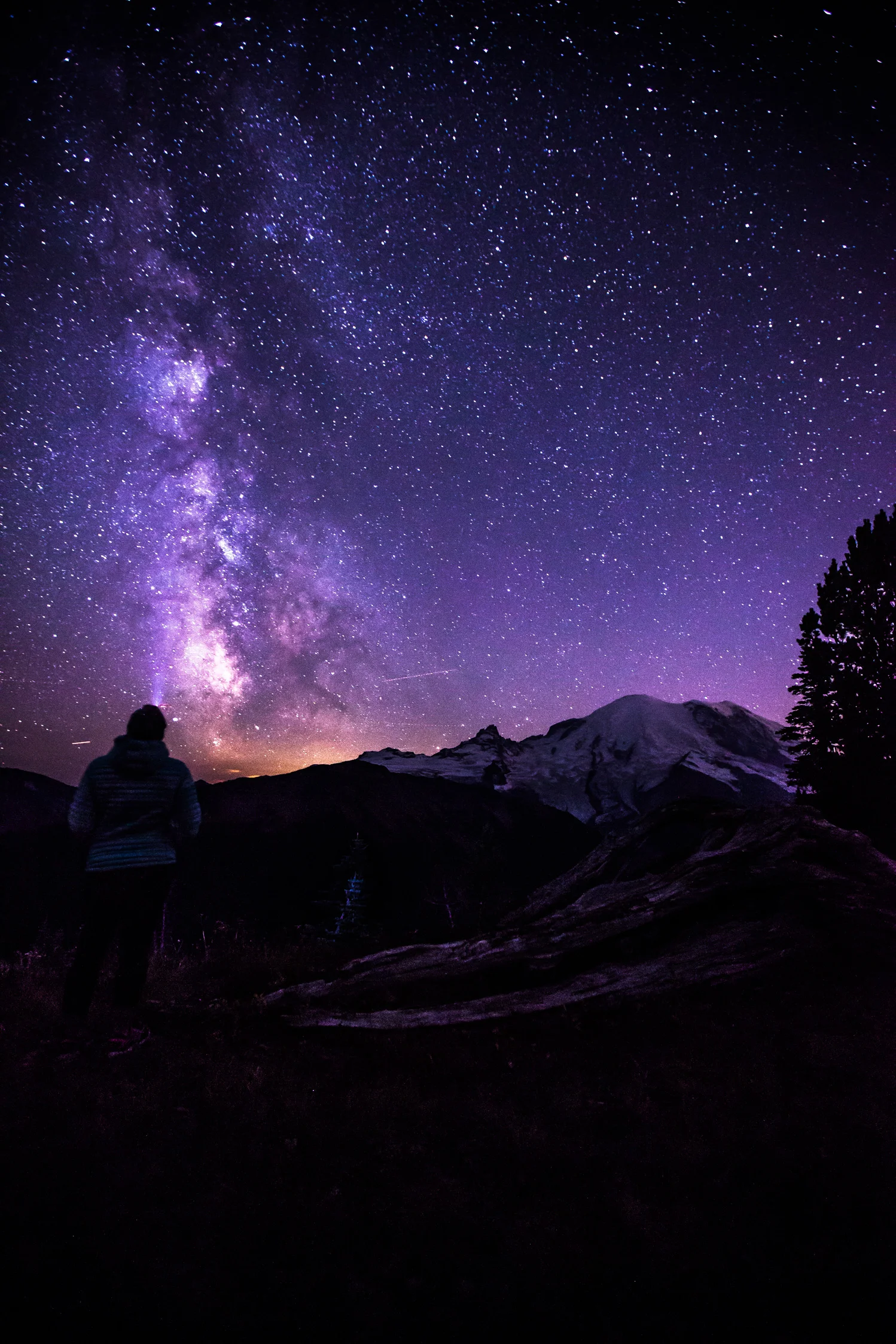 CindyGiovagnoli_MountRainier_Olympic_NationalPark_HohRainforest_Washington_MRNP_Camping-003.jpg