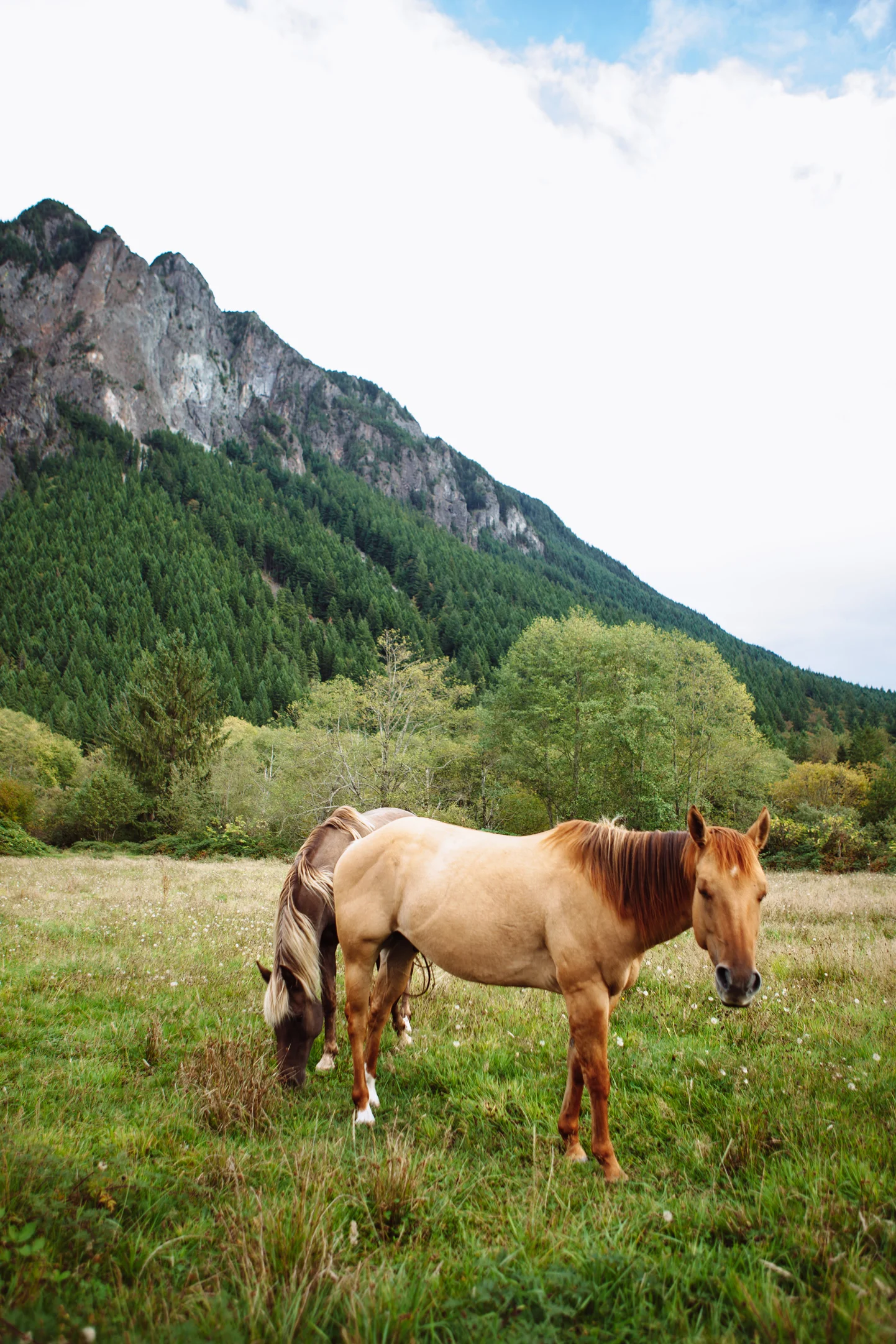 CindyGiovagnoli_MountRainier_Olympic_NationalPark_HohRainforest_Washington_MRNP_Camping-018.jpg