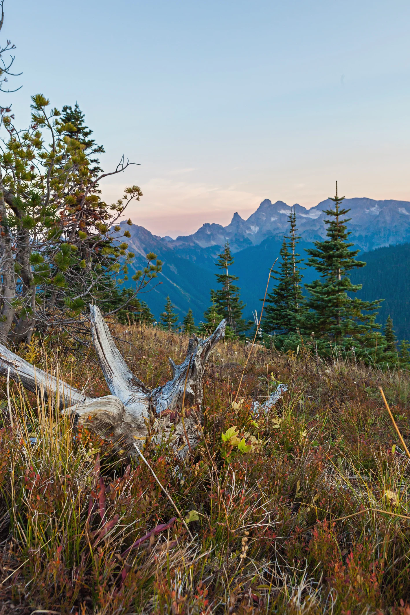 CindyGiovagnoli_MountRainier_Olympic_NationalPark_HohRainforest_Washington_MRNP_Camping-019.jpg