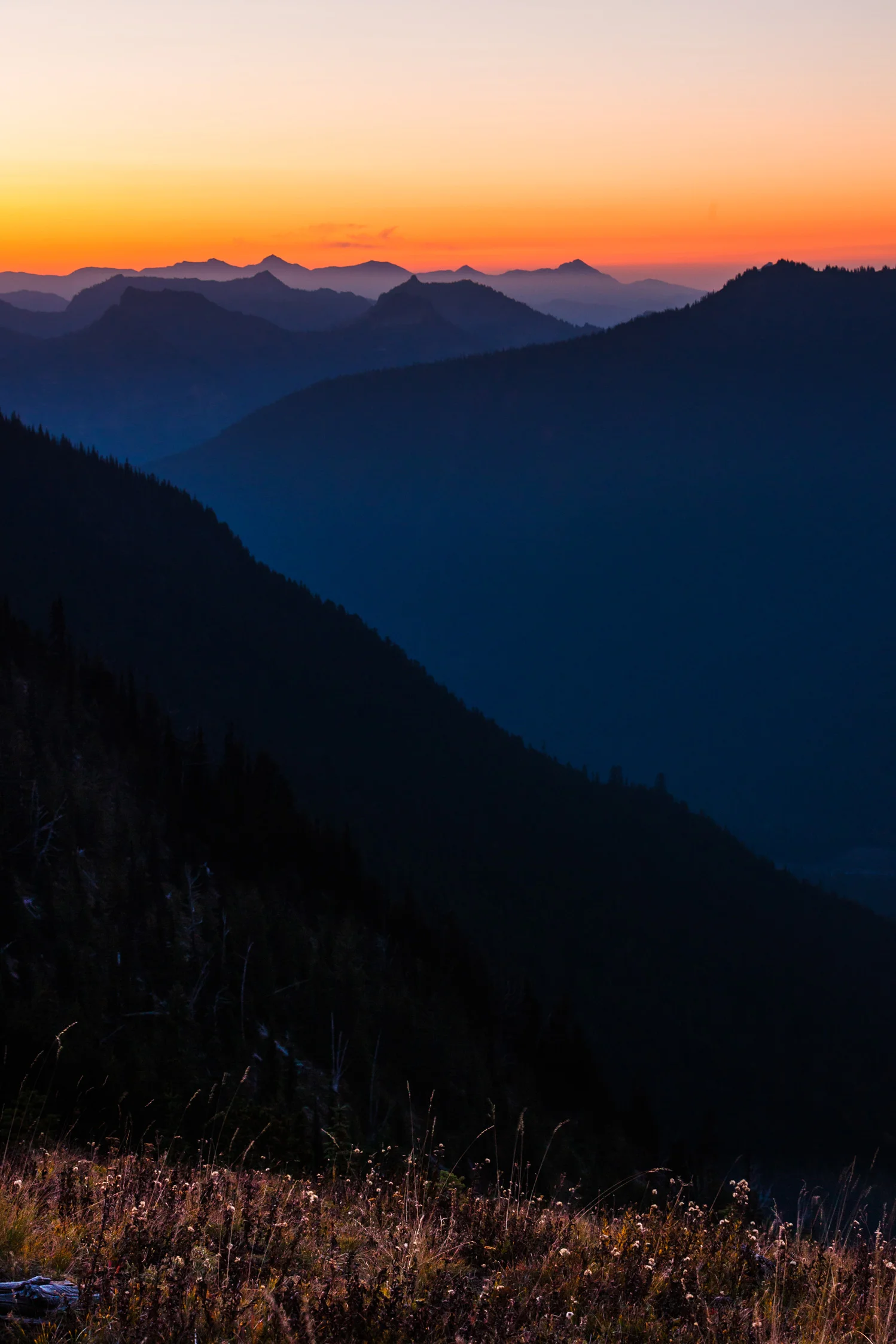 CindyGiovagnoli_MountRainier_Olympic_NationalPark_HohRainforest_Washington_MRNP_Camping-030.jpg