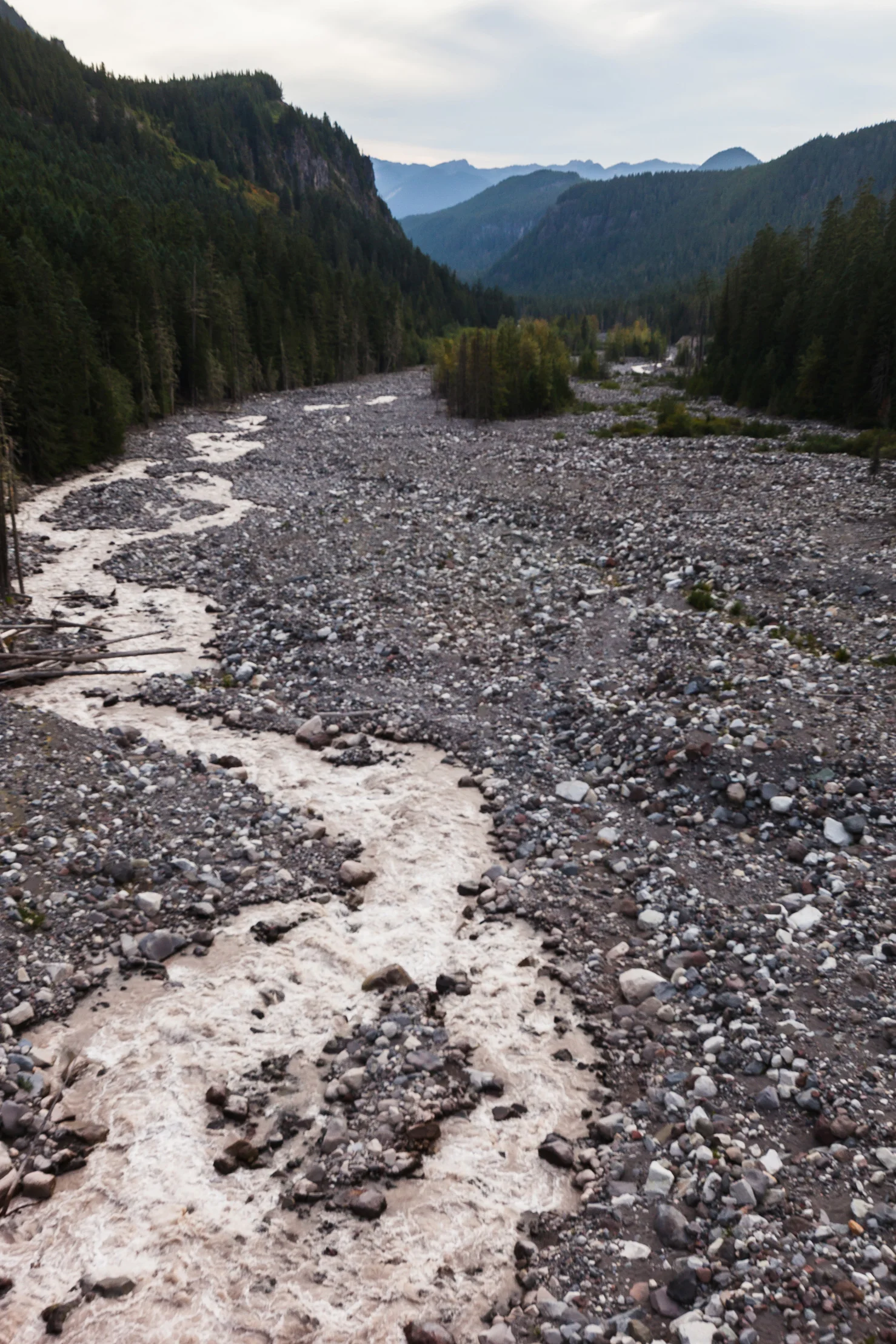 CindyGiovagnoli_MountRainier_Olympic_NationalPark_HohRainforest_Washington_MRNP_Camping-038.jpg