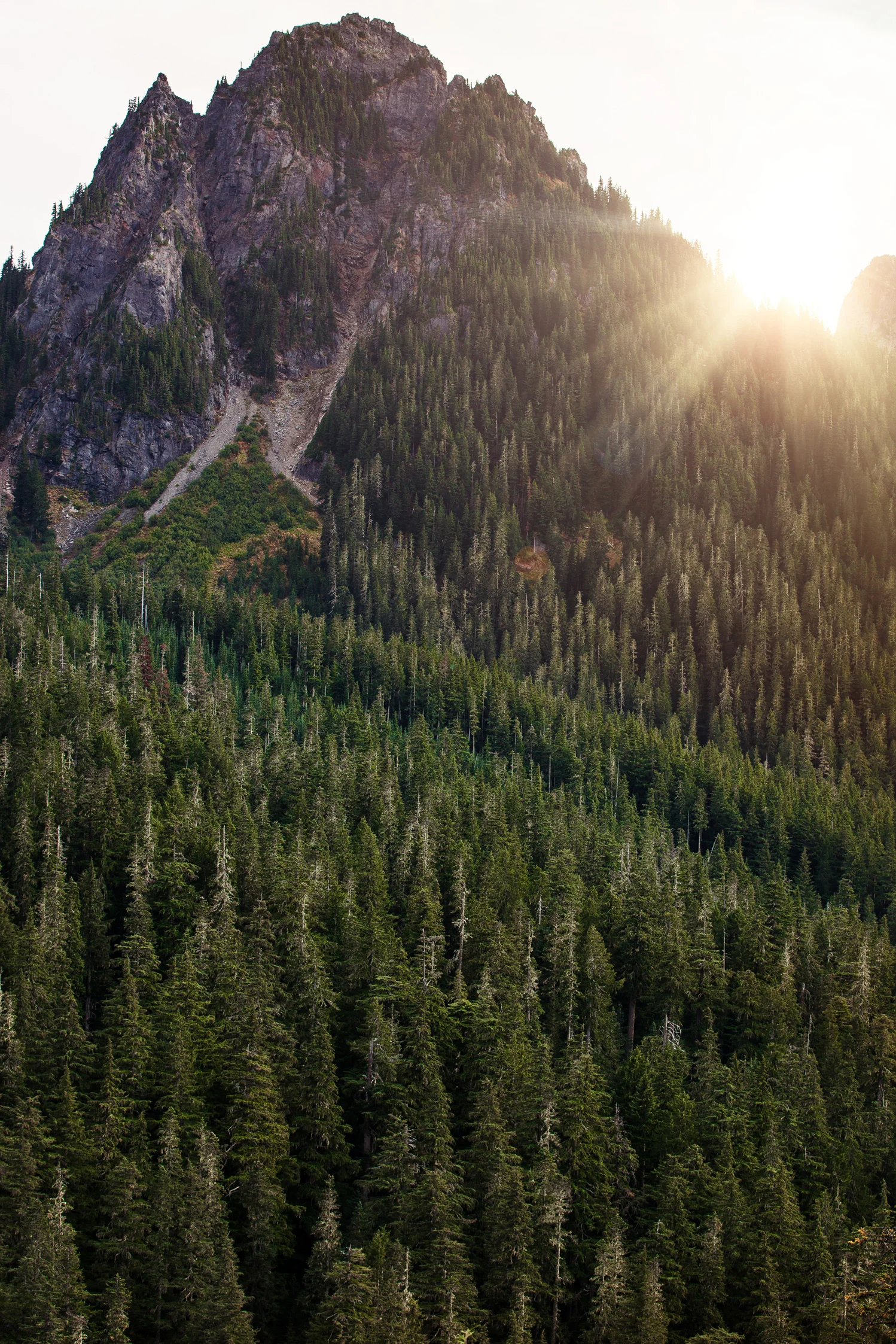CindyGiovagnoli_MountRainier_Olympic_NationalPark_HohRainforest_Washington_MRNP_Camping-049.jpg
