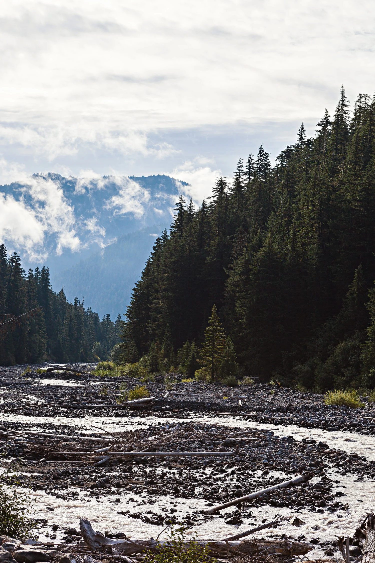 CindyGiovagnoli_MountRainier_Olympic_NationalPark_HohRainforest_Washington_MRNP_Camping-058.jpg