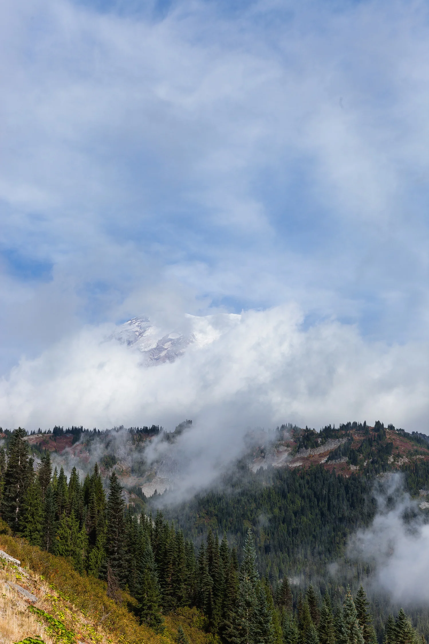 CindyGiovagnoli_MountRainier_Olympic_NationalPark_HohRainforest_Washington_MRNP_Camping-067.jpg