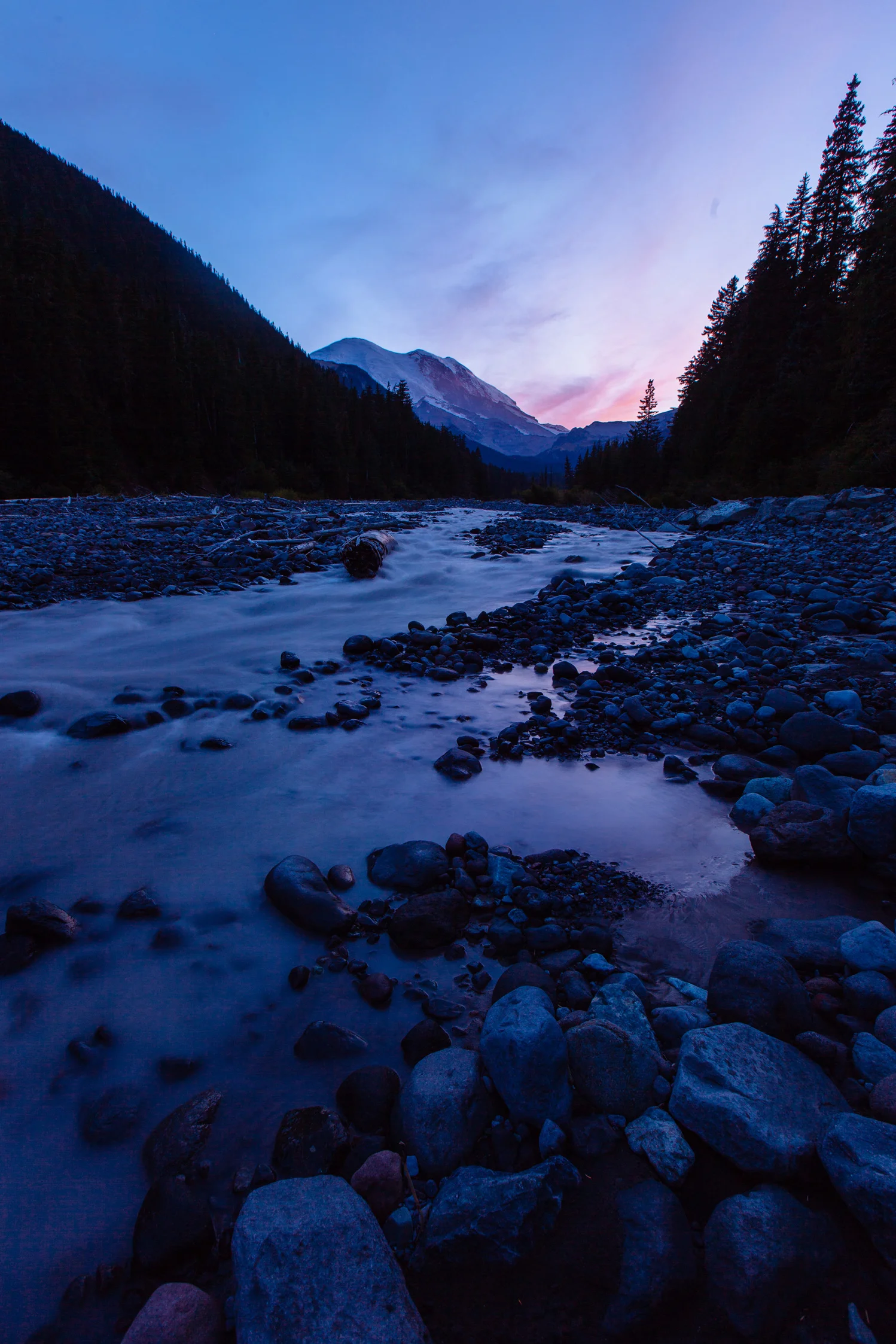 CindyGiovagnoli_MountRainier_Olympic_NationalPark_HohRainforest_Washington_MRNP_Camping-075.jpg