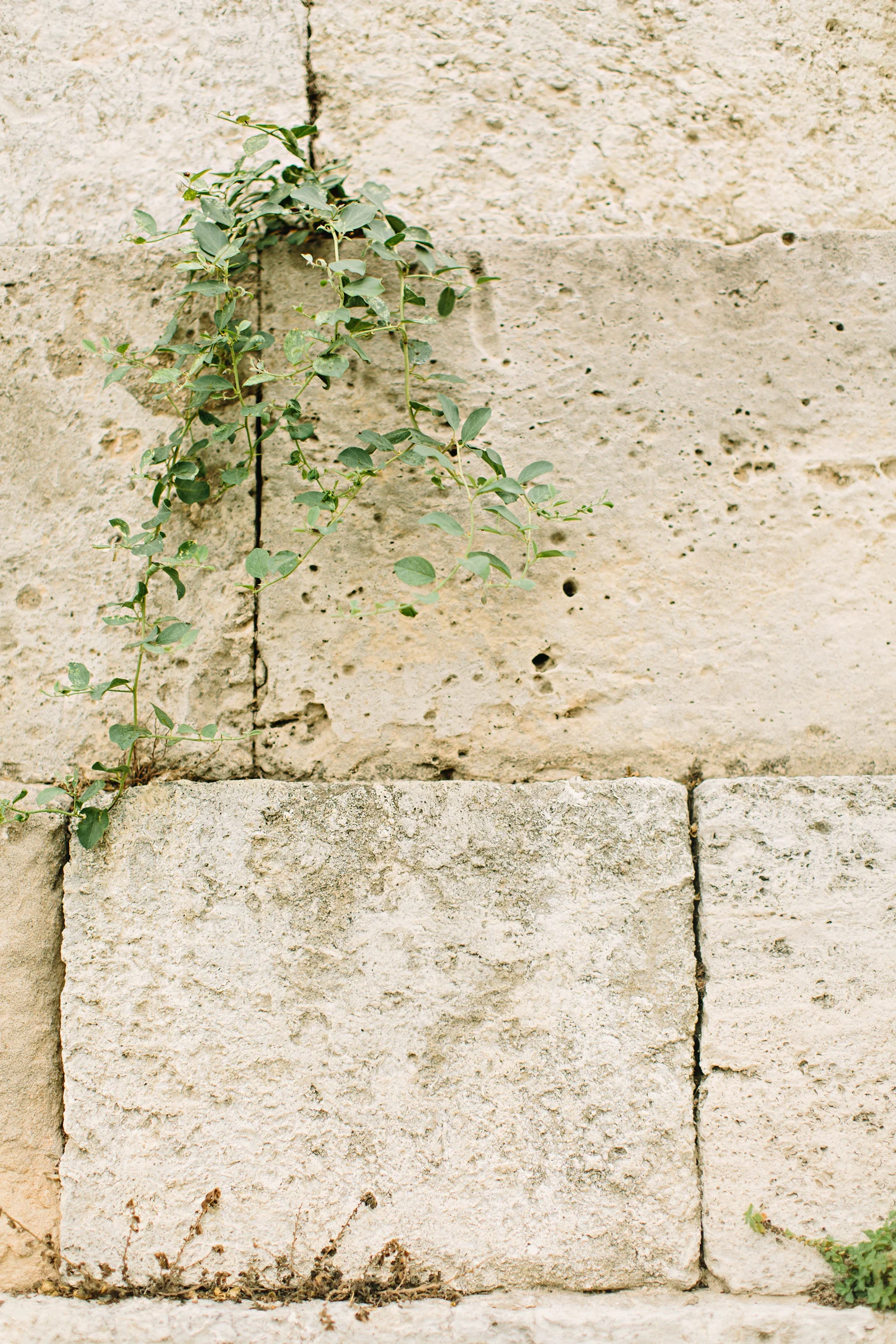 CindyGiovagnoli_Athens_Greece_travel_photographer-077.jpg