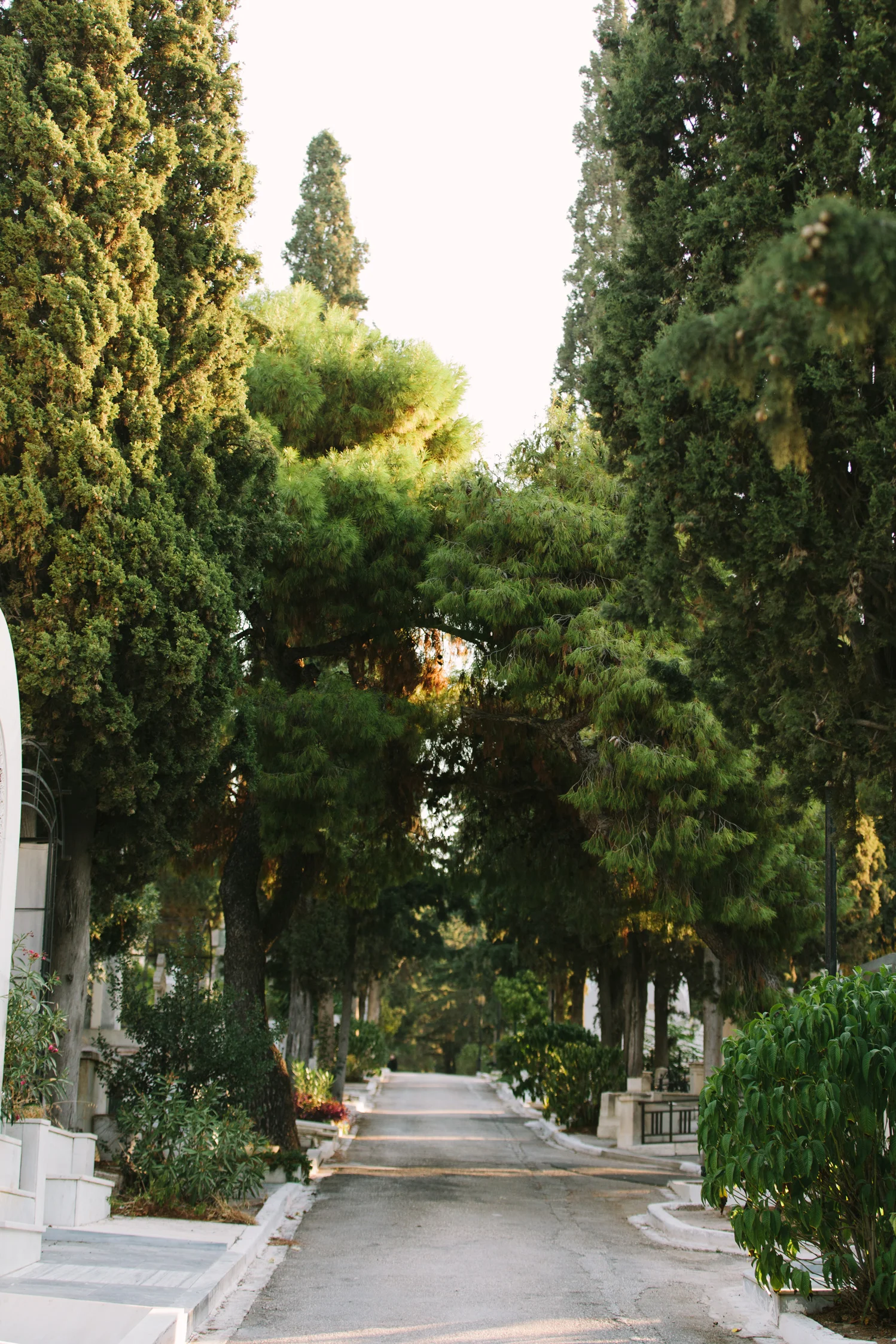 CindyGiovagnoli_Athens_Greece_travel_photographer-085.jpg