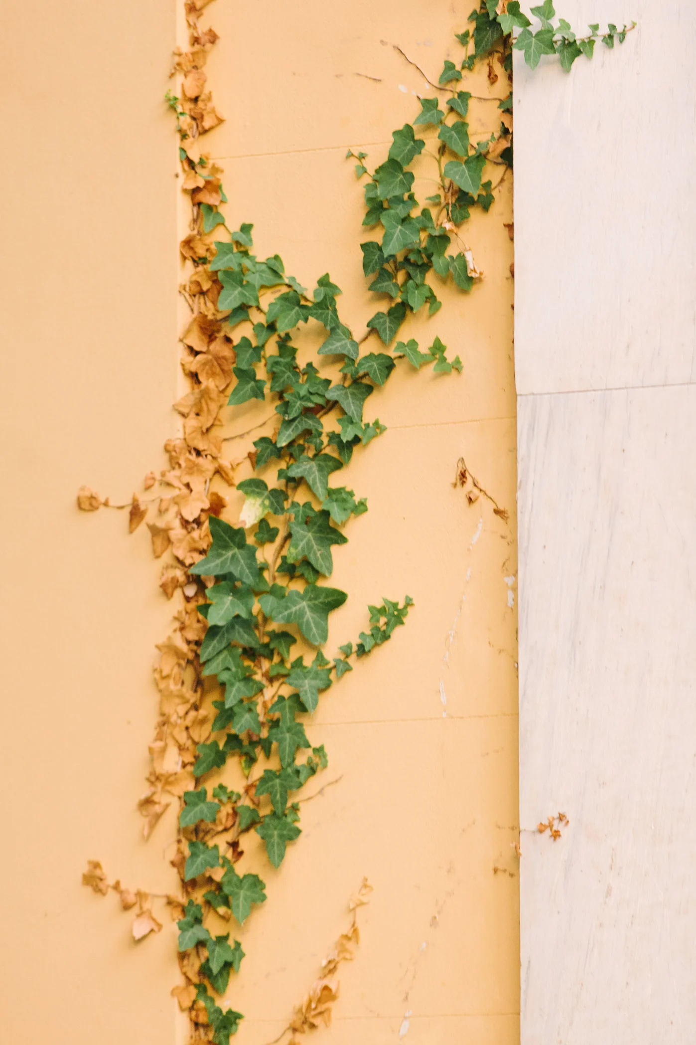 CindyGiovagnoli_Athens_Greece_travel_photographer-103.jpg