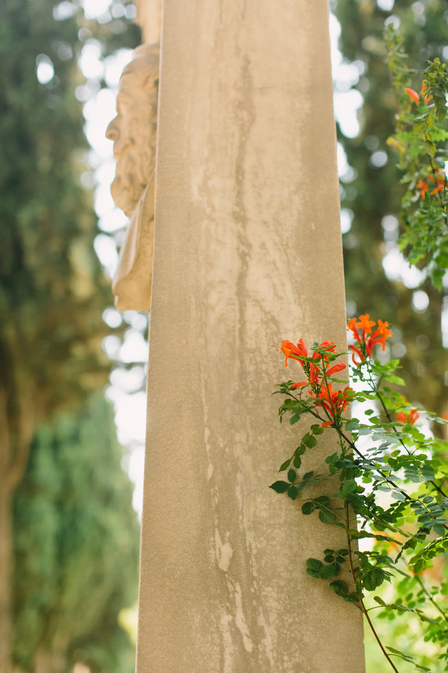 CindyGiovagnoli_Athens_Greece_travel_photographer-115.jpg