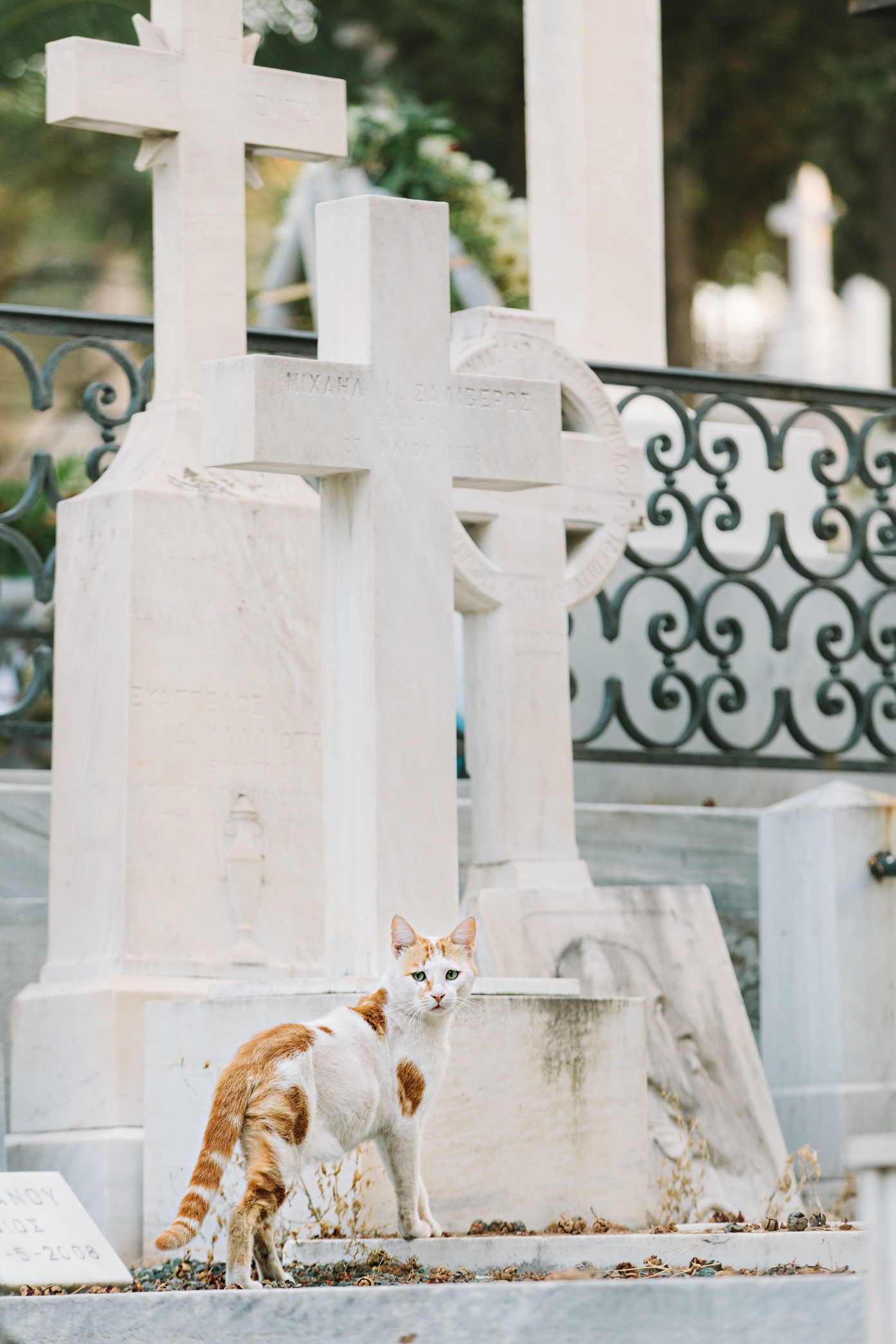 CindyGiovagnoli_Athens_Greece_travel_photographer-110.jpg