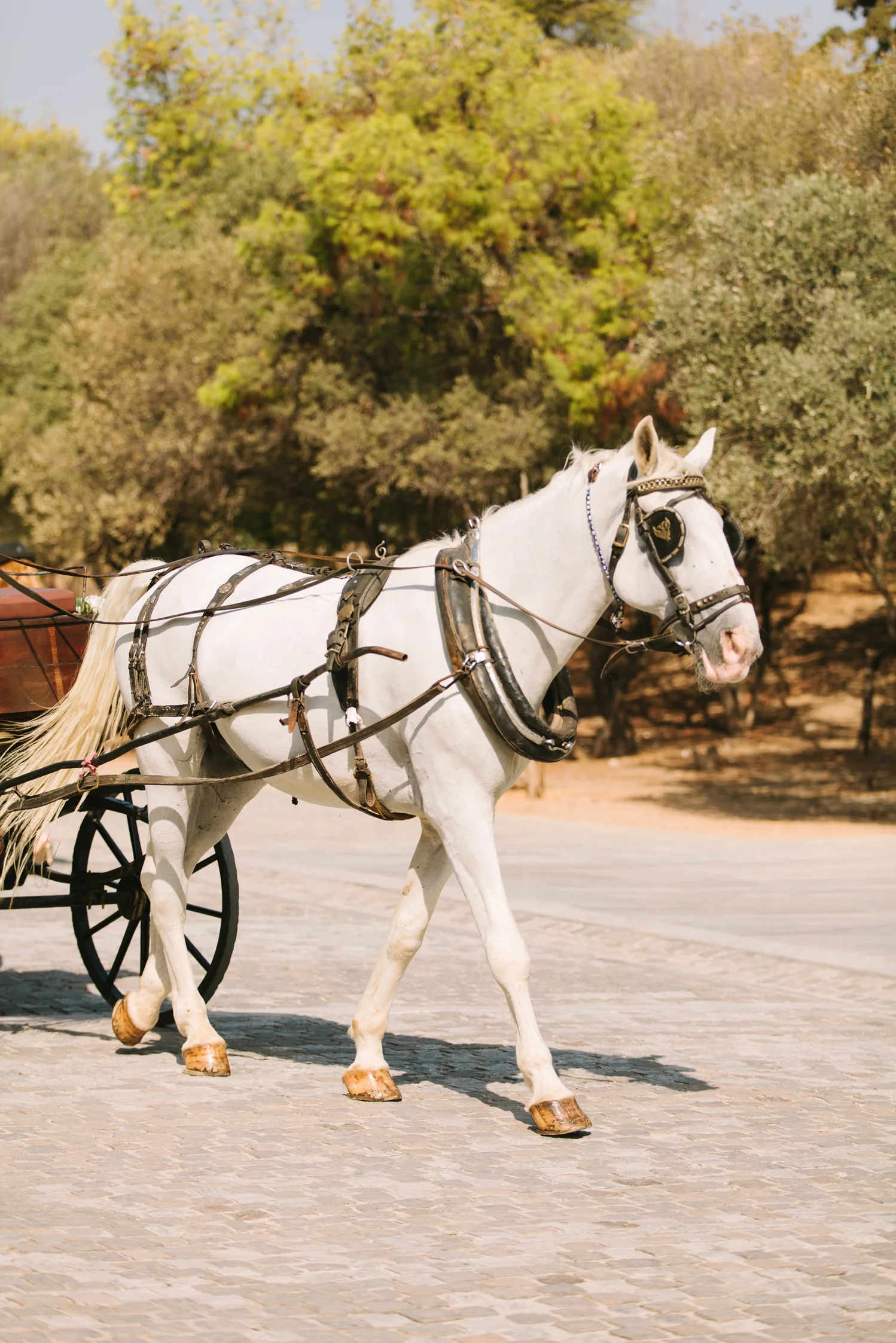 CindyGiovagnoli_Athens_Greece_travel_photographer-125.jpg