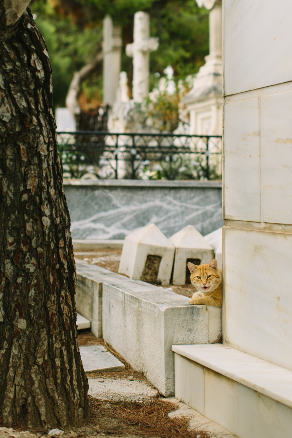 CindyGiovagnoli_Athens_Greece_travel_photographer-086.jpg