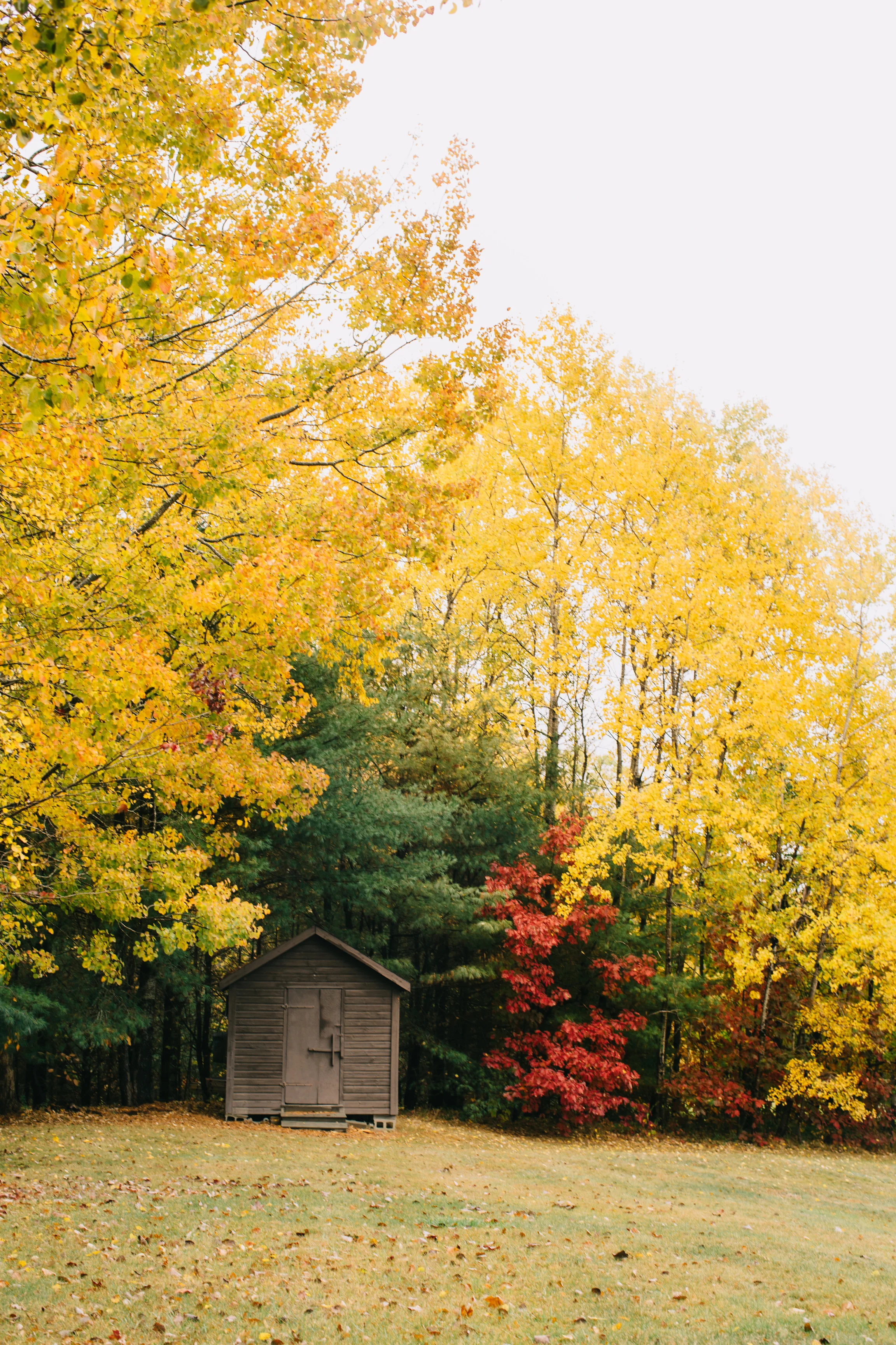 CindyGiovagnoli_Wiscasset_Maine_farm_vanlife_fall_autumn-022.jpg